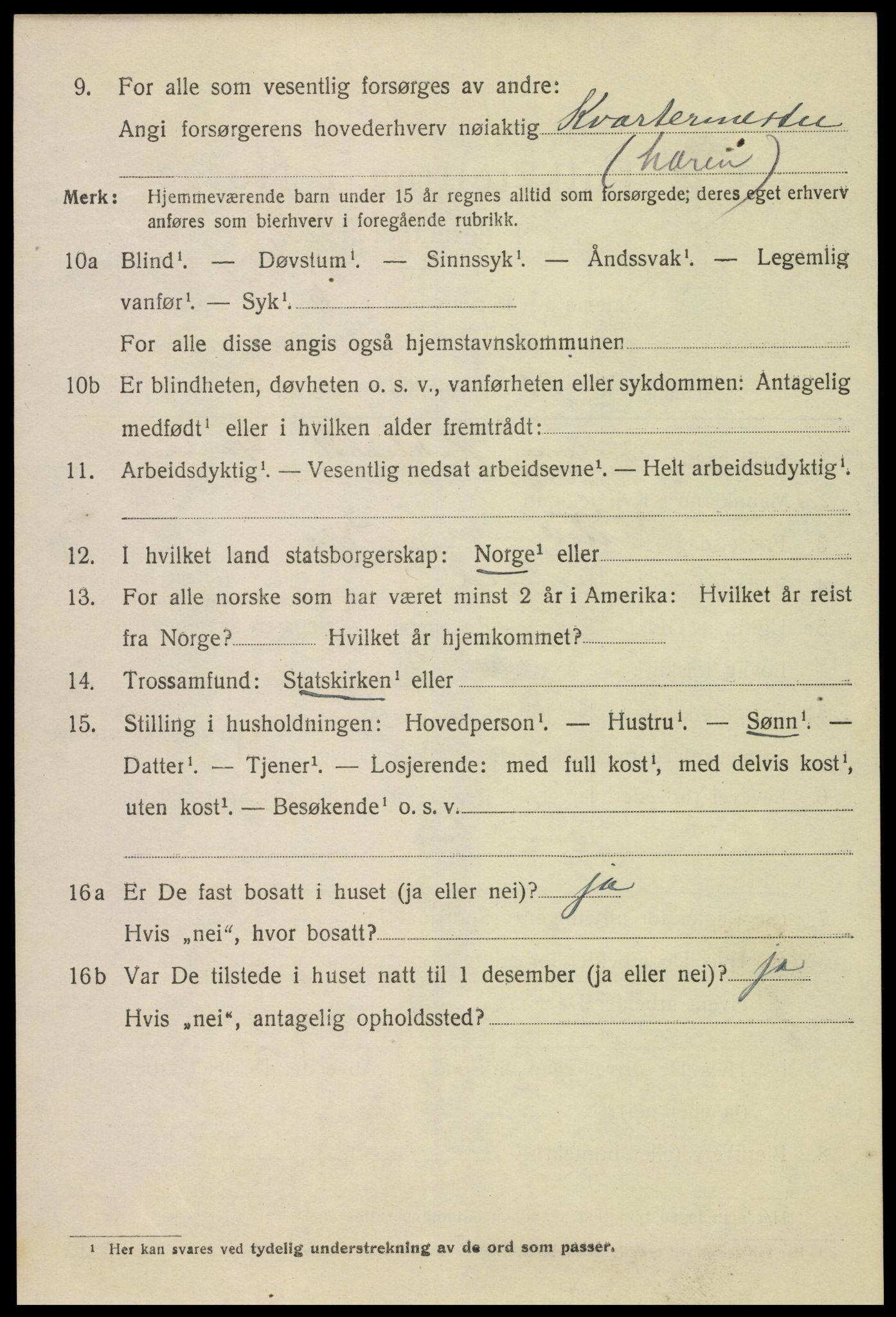 SAH, 1920 census for Lillehammer, 1920, p. 12355