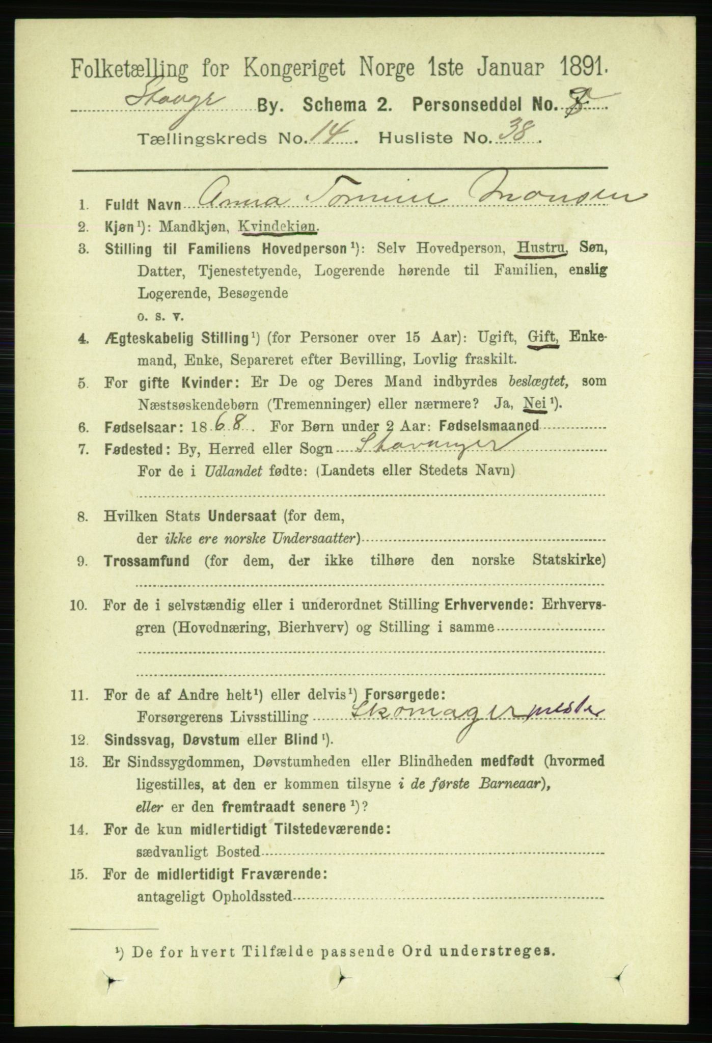 RA, 1891 census for 1103 Stavanger, 1891, p. 17316