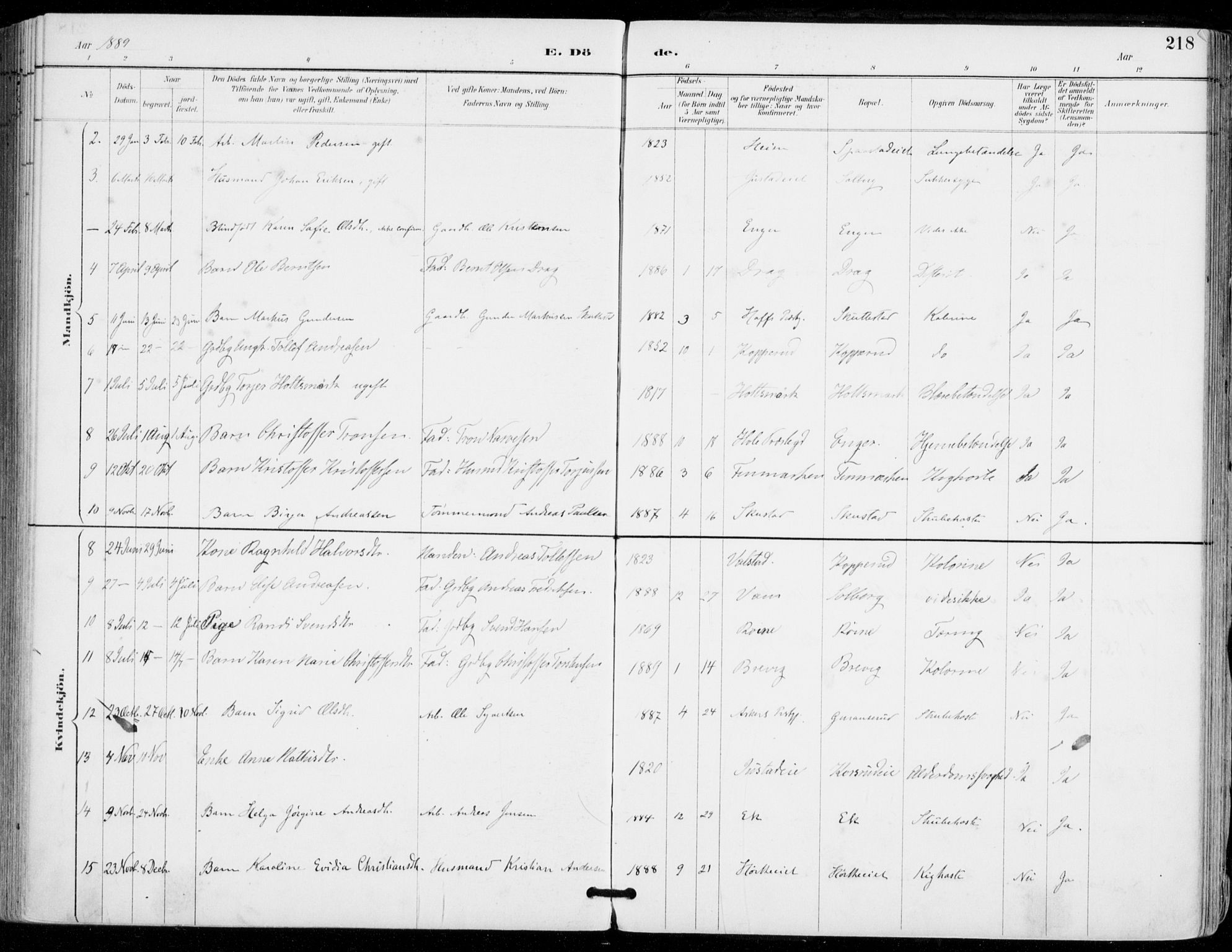 Sylling kirkebøker, AV/SAKO-A-247/F/Fa/L0001: Parish register (official) no. 1, 1883-1910, p. 218