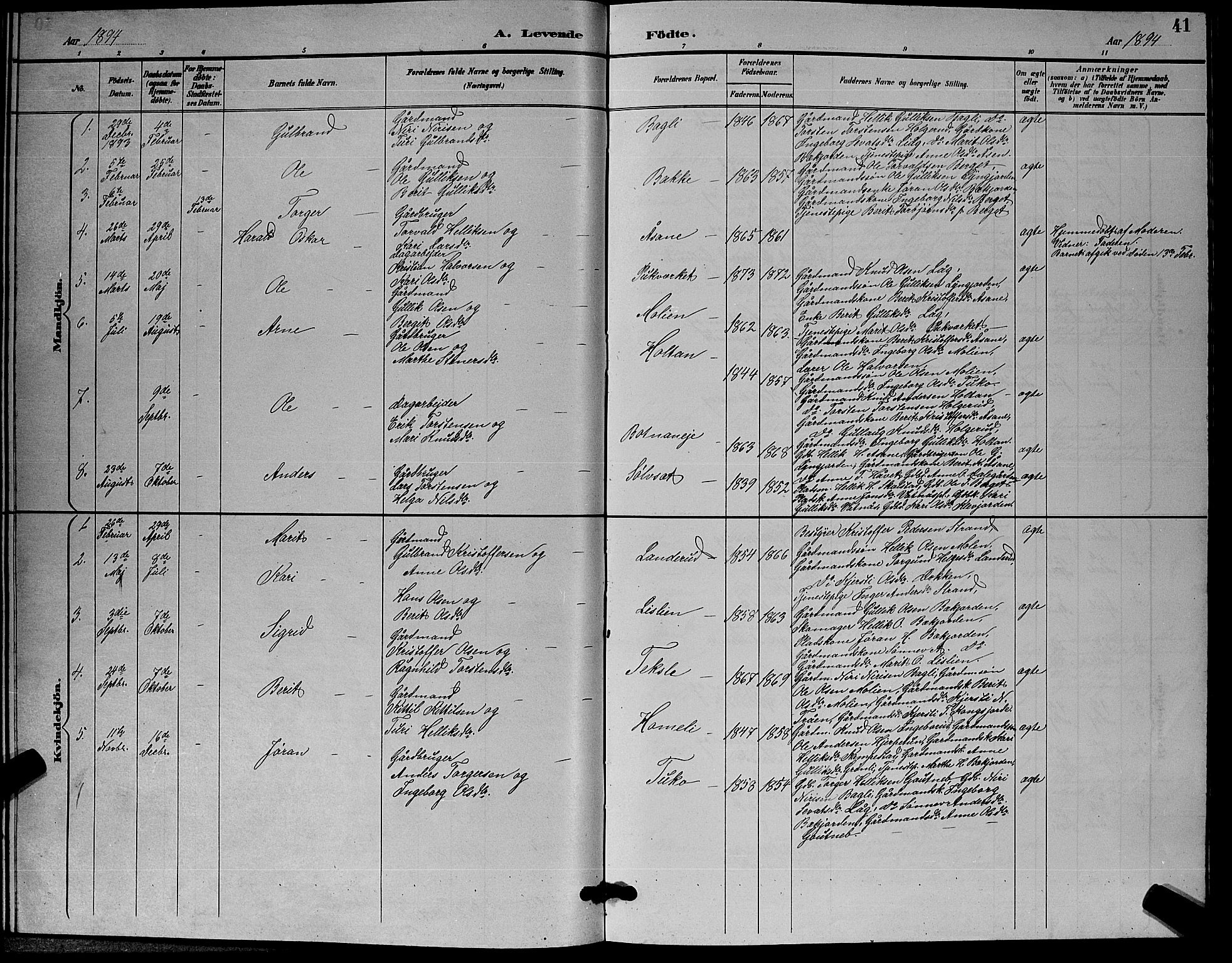 Flesberg kirkebøker, AV/SAKO-A-18/G/Ga/L0004: Parish register (copy) no. I 4 /3, 1890-1898, p. 41