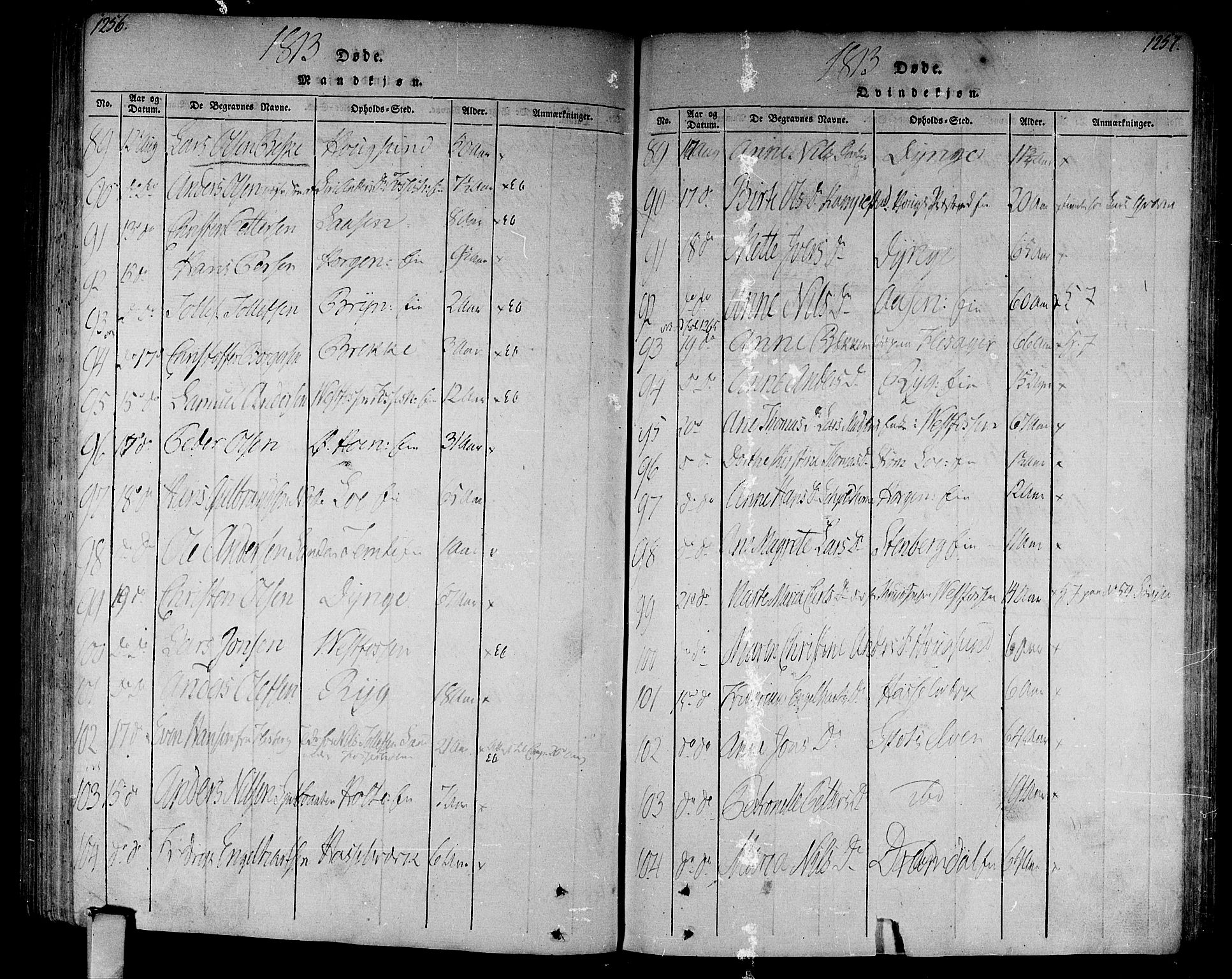 Eiker kirkebøker, AV/SAKO-A-4/F/Fa/L0010: Parish register (official) no. I 10, 1806-1815, p. 1256-1257