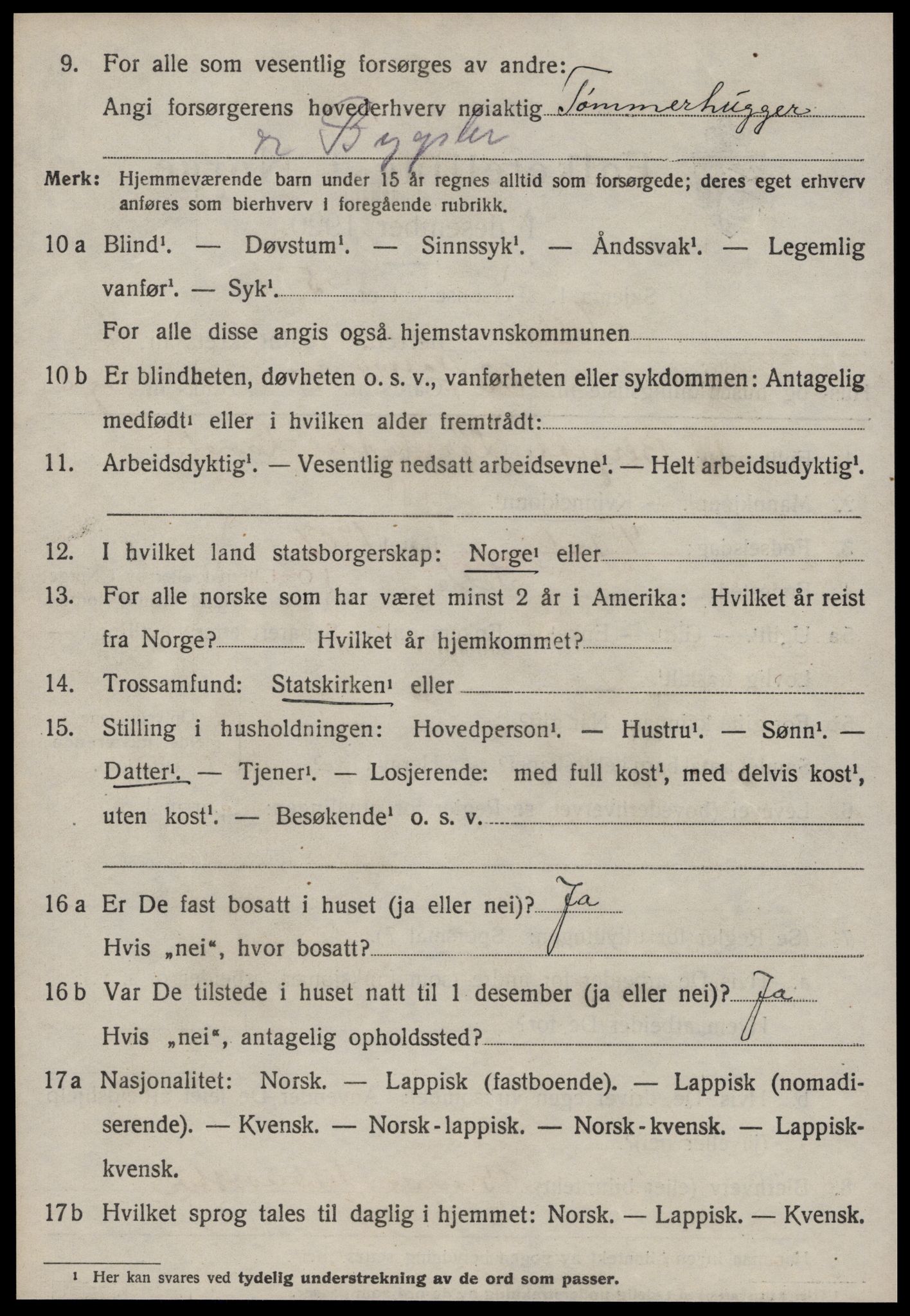 SAT, 1920 census for Selbu, 1920, p. 3733