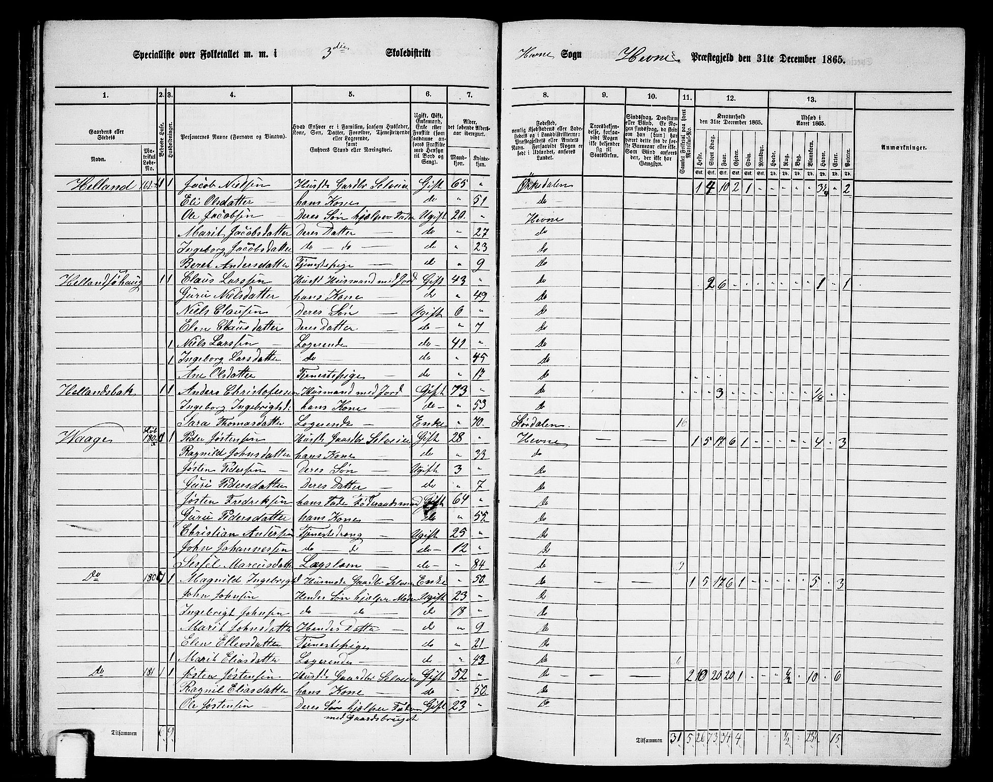 RA, 1865 census for Hemne, 1865, p. 64