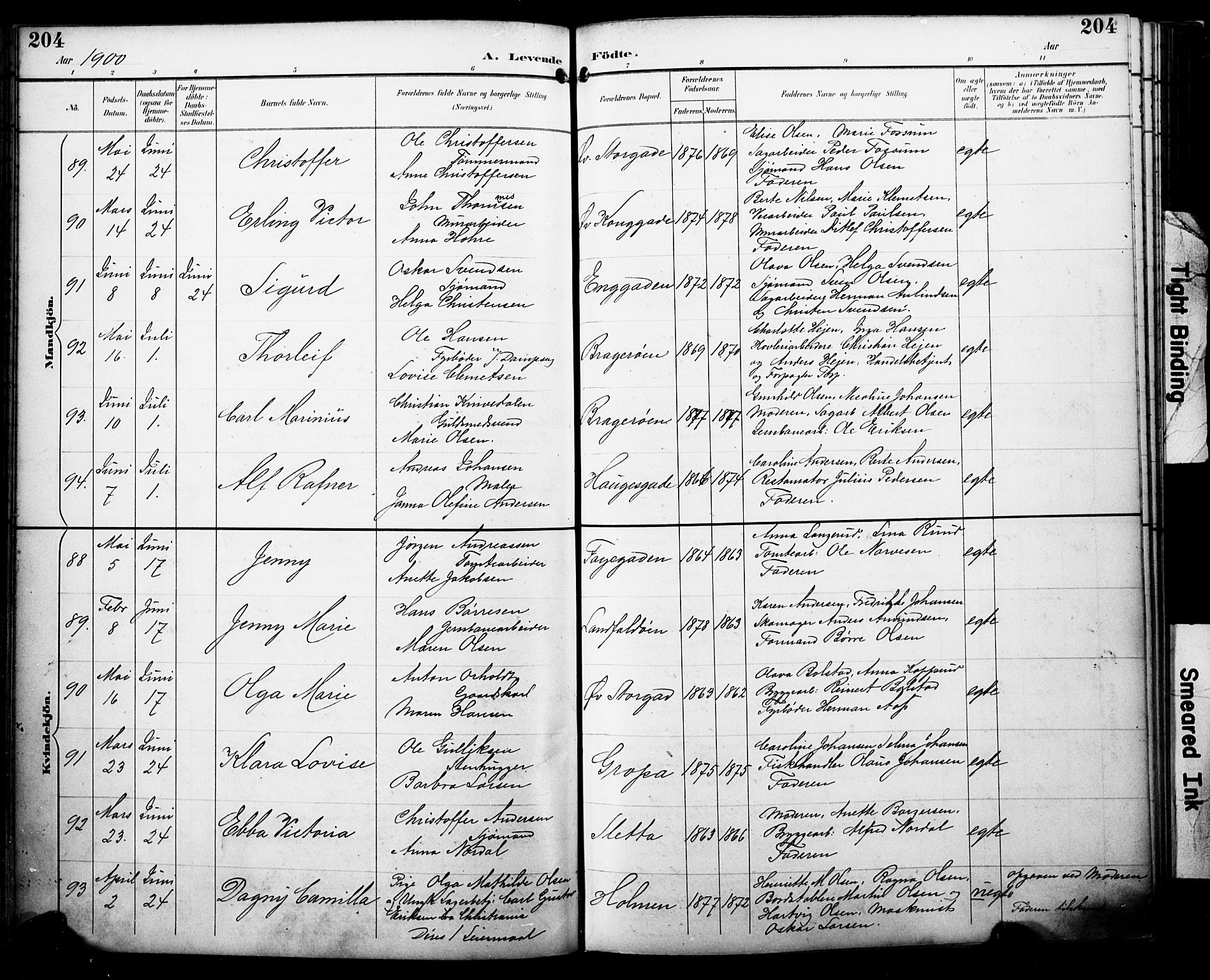 Bragernes kirkebøker, SAKO/A-6/F/Fb/L0008: Parish register (official) no. II 8, 1894-1902, p. 204
