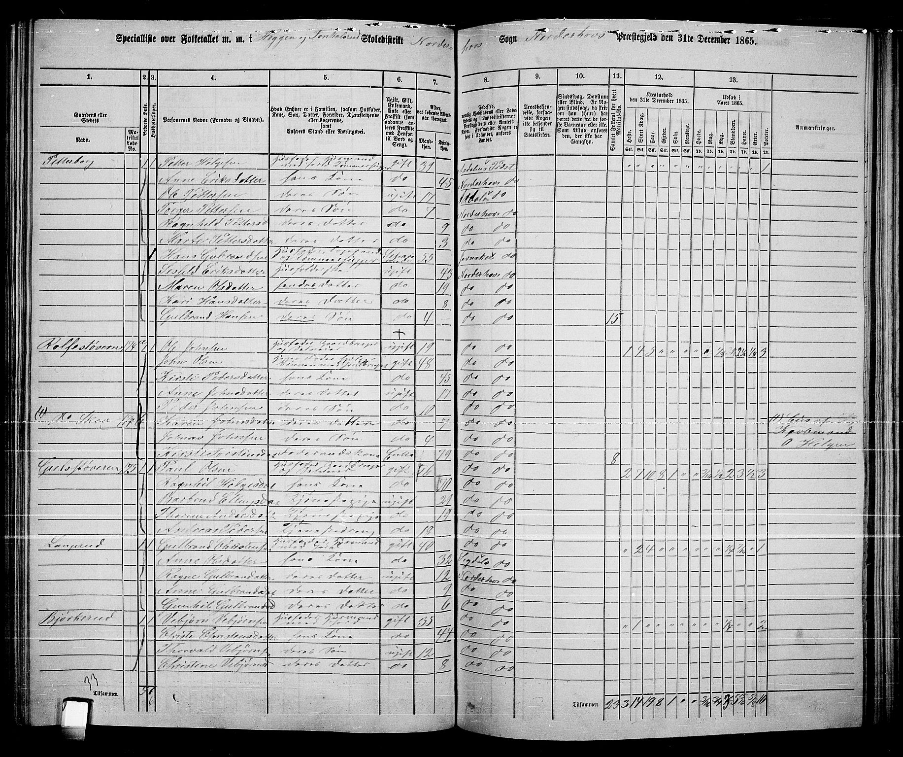 RA, 1865 census for Norderhov/Norderhov, Haug og Lunder, 1865, p. 202