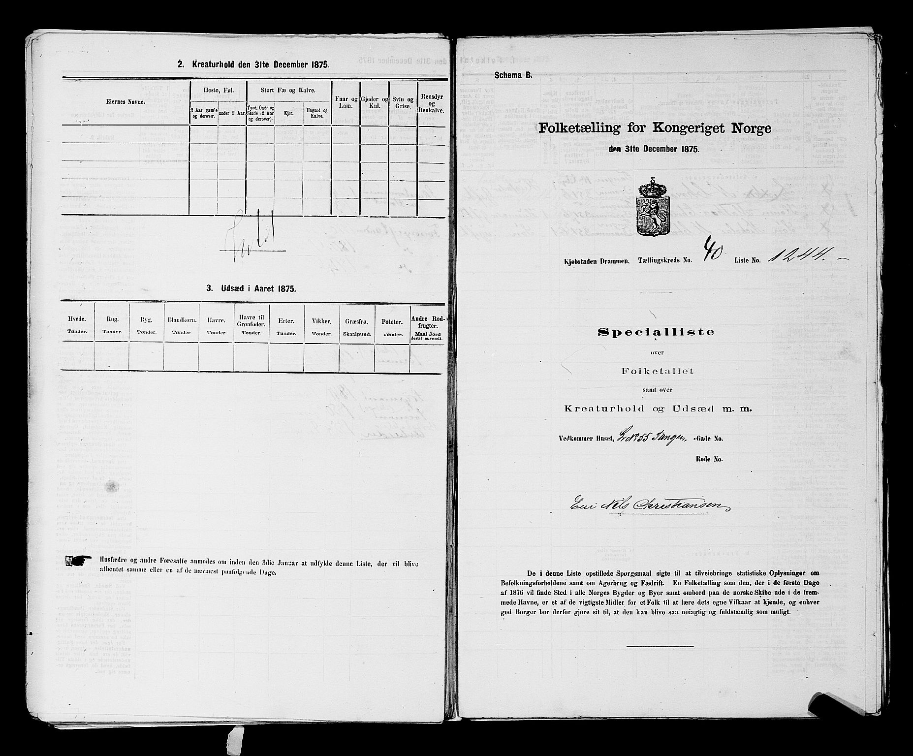 SAKO, 1875 census for 0602 Drammen, 1875, p. 3419