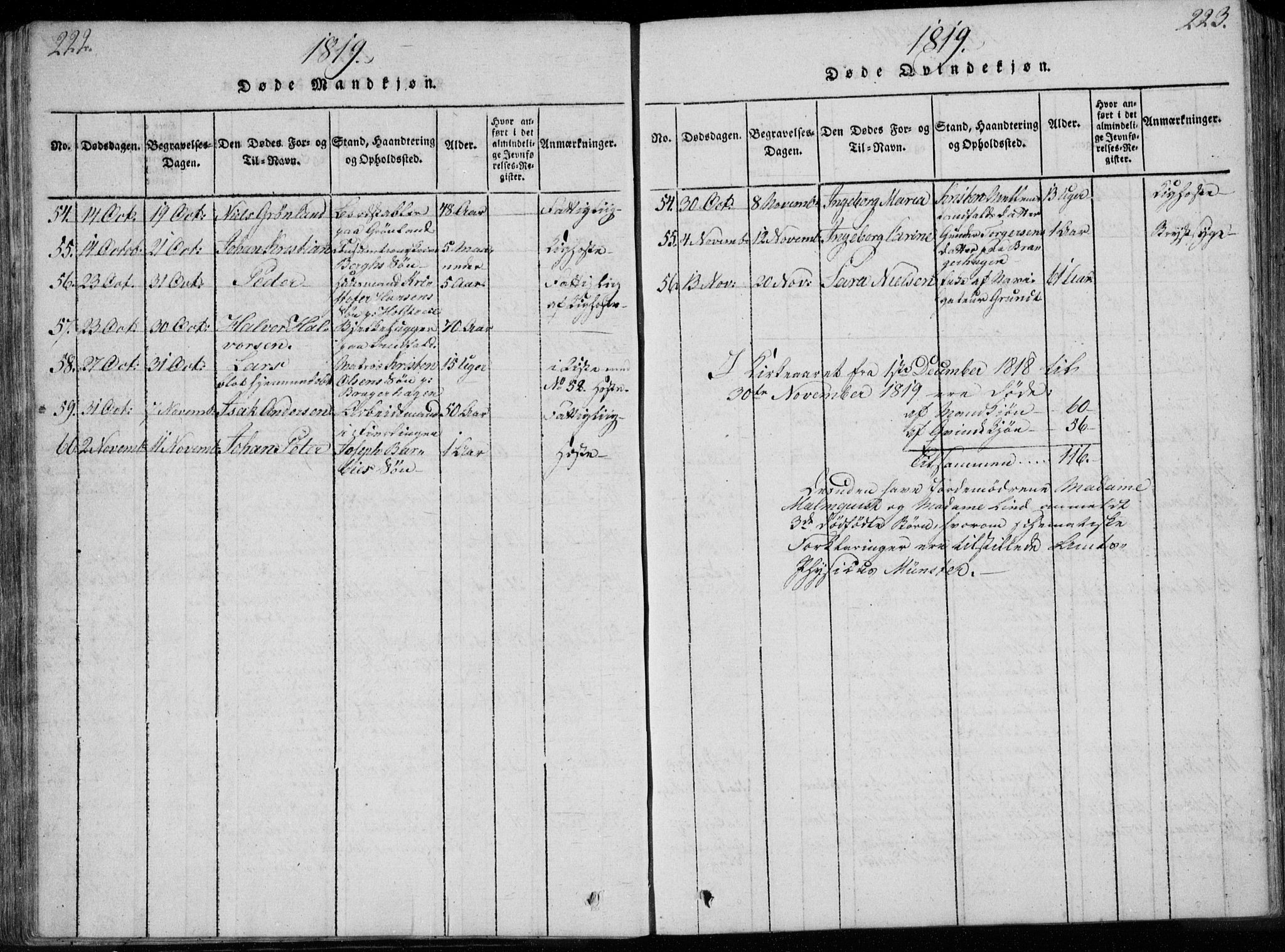 Bragernes kirkebøker, AV/SAKO-A-6/F/Fa/L0007: Parish register (official) no. I 7, 1815-1829, p. 222-223