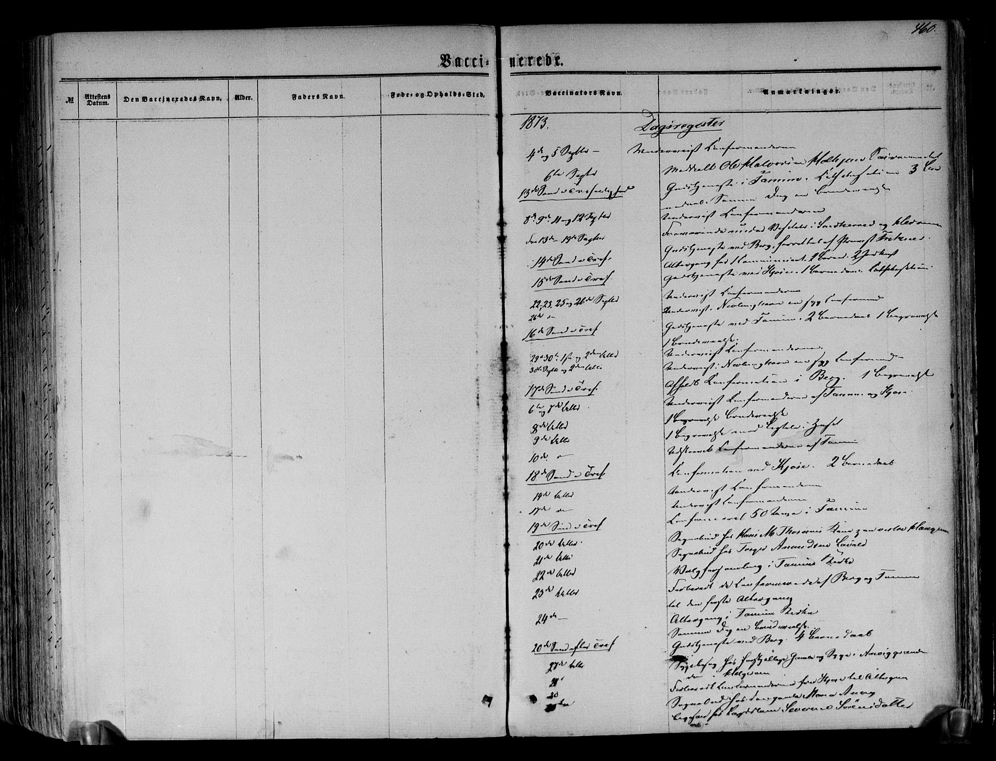 Brunlanes kirkebøker, AV/SAKO-A-342/F/Fa/L0005: Parish register (official) no. I 5, 1862-1877, p. 460