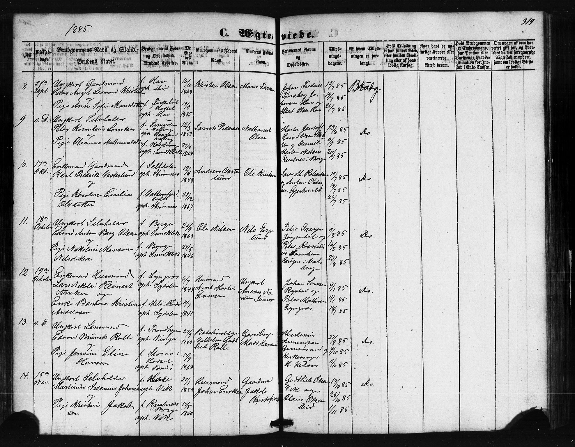Ministerialprotokoller, klokkerbøker og fødselsregistre - Nordland, SAT/A-1459/876/L1095: Parish register (official) no. 876A01, 1863-1885, p. 319