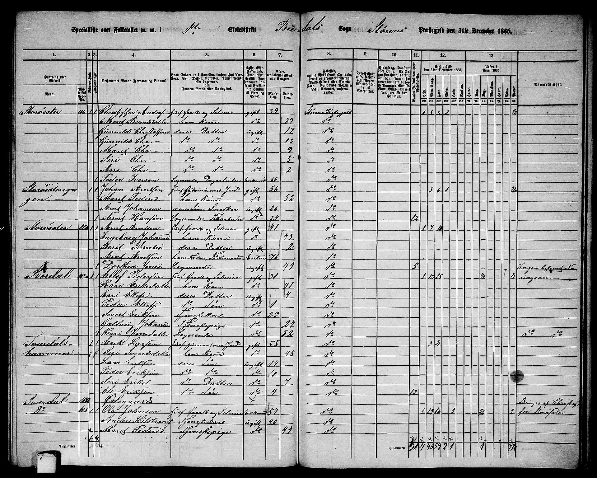 RA, 1865 census for Støren, 1865, p. 300