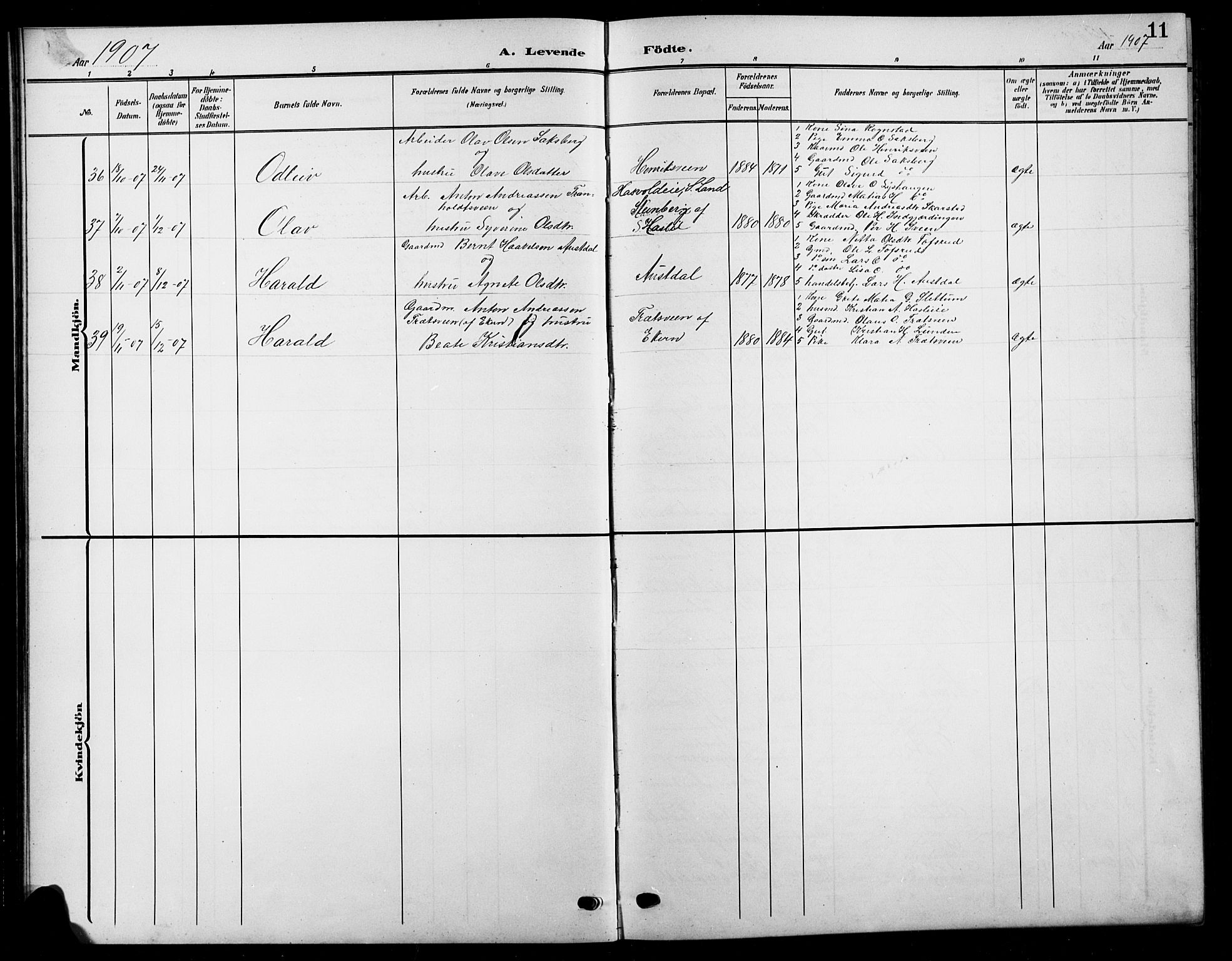 Biri prestekontor, SAH/PREST-096/H/Ha/Hab/L0005: Parish register (copy) no. 5, 1906-1919, p. 11
