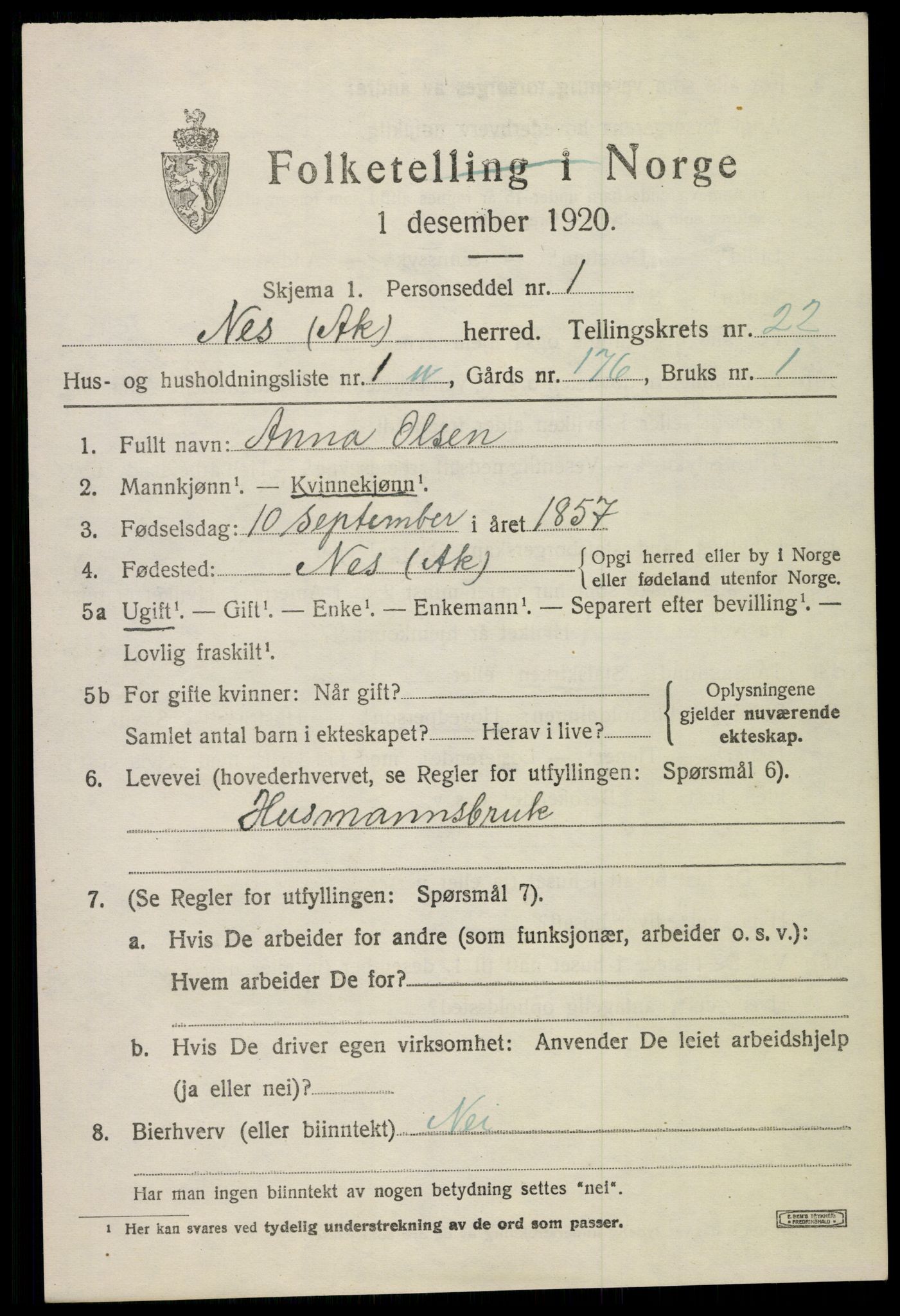SAO, 1920 census for Nes, 1920, p. 22652