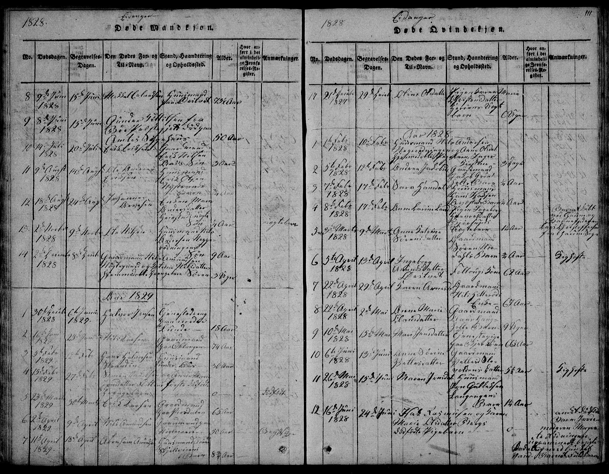 Eidanger kirkebøker, SAKO/A-261/F/Fa/L0007: Parish register (official) no. 7, 1814-1831, p. 111