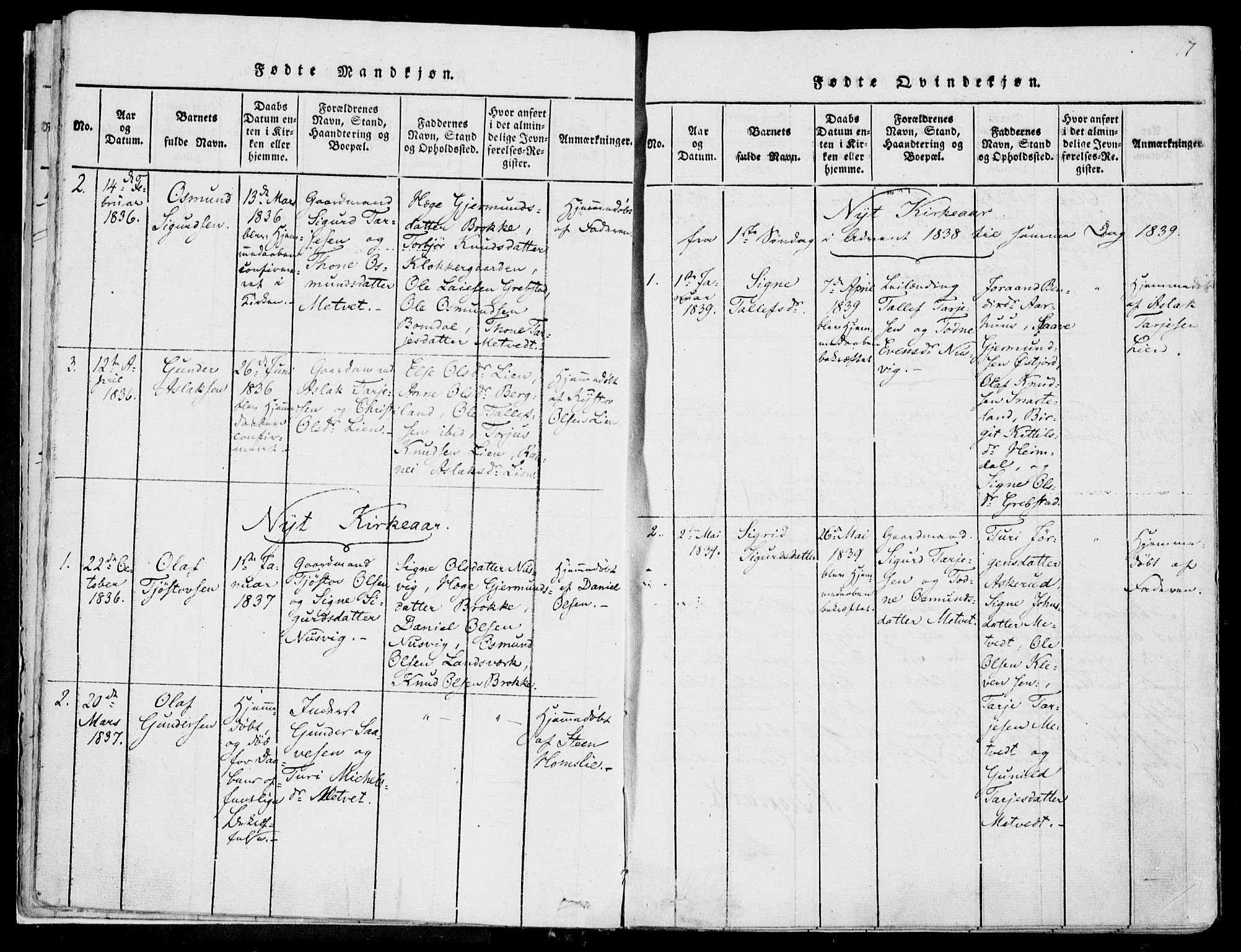 Fyresdal kirkebøker, SAKO/A-263/F/Fa/L0004: Parish register (official) no. I 4, 1815-1854, p. 17