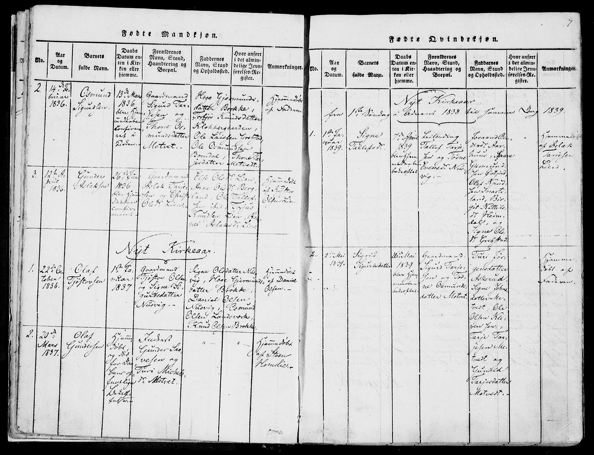 Fyresdal kirkebøker, AV/SAKO-A-263/F/Fa/L0004: Parish register (official) no. I 4, 1815-1854, p. 17