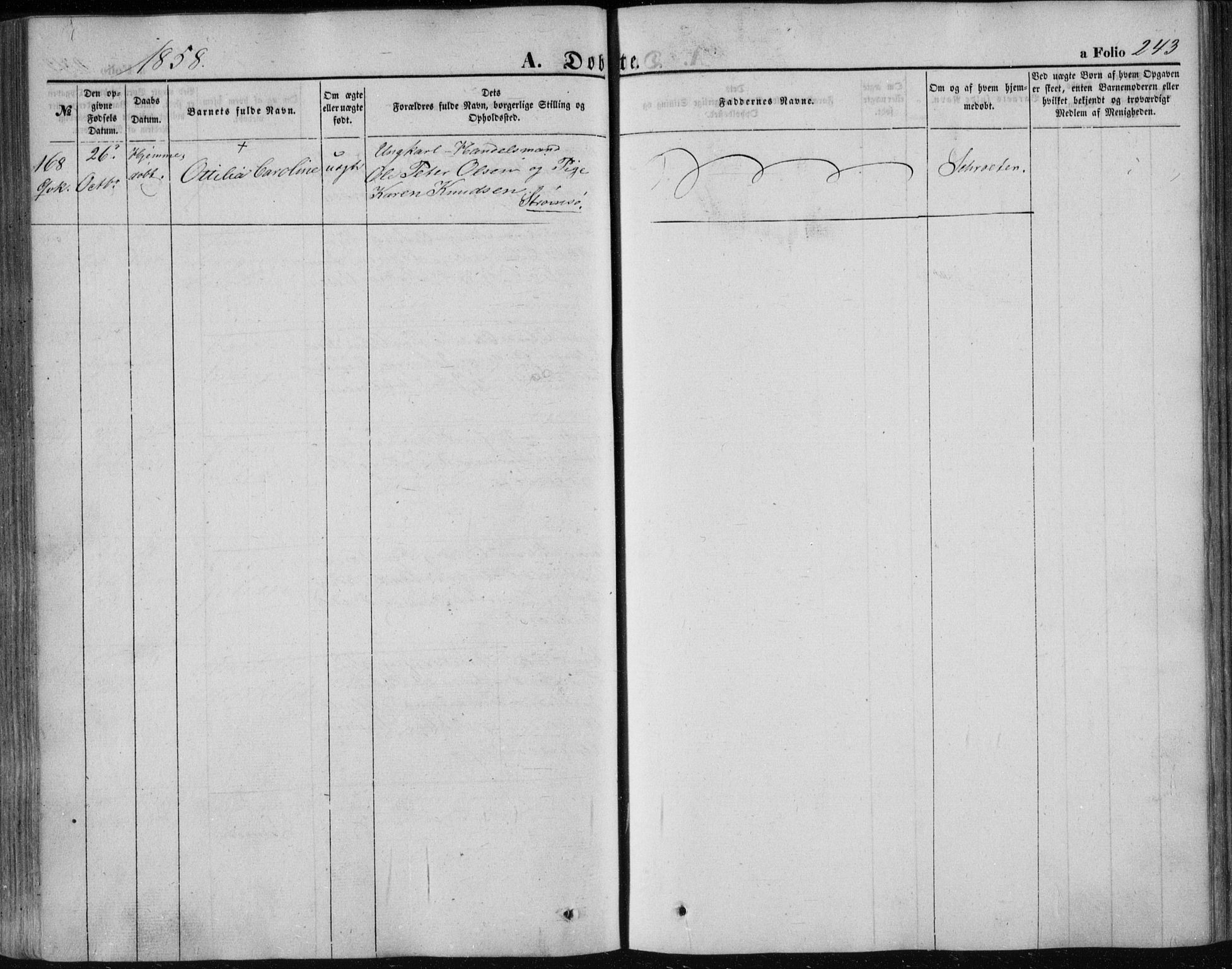 Strømsø kirkebøker, AV/SAKO-A-246/F/Fa/L0014: Parish register (official) no. I 14, 1848-1858, p. 243