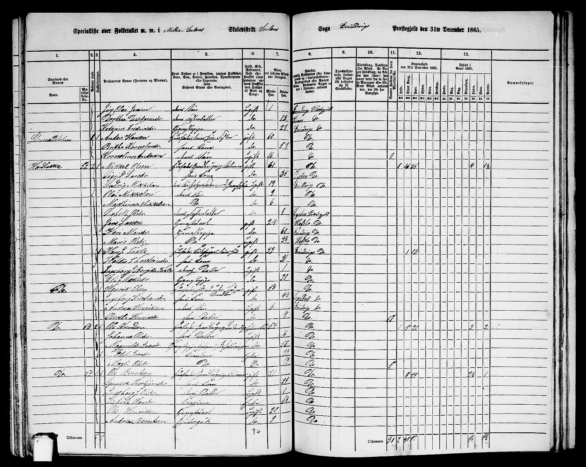 RA, 1865 census for Eivindvik, 1865, p. 168