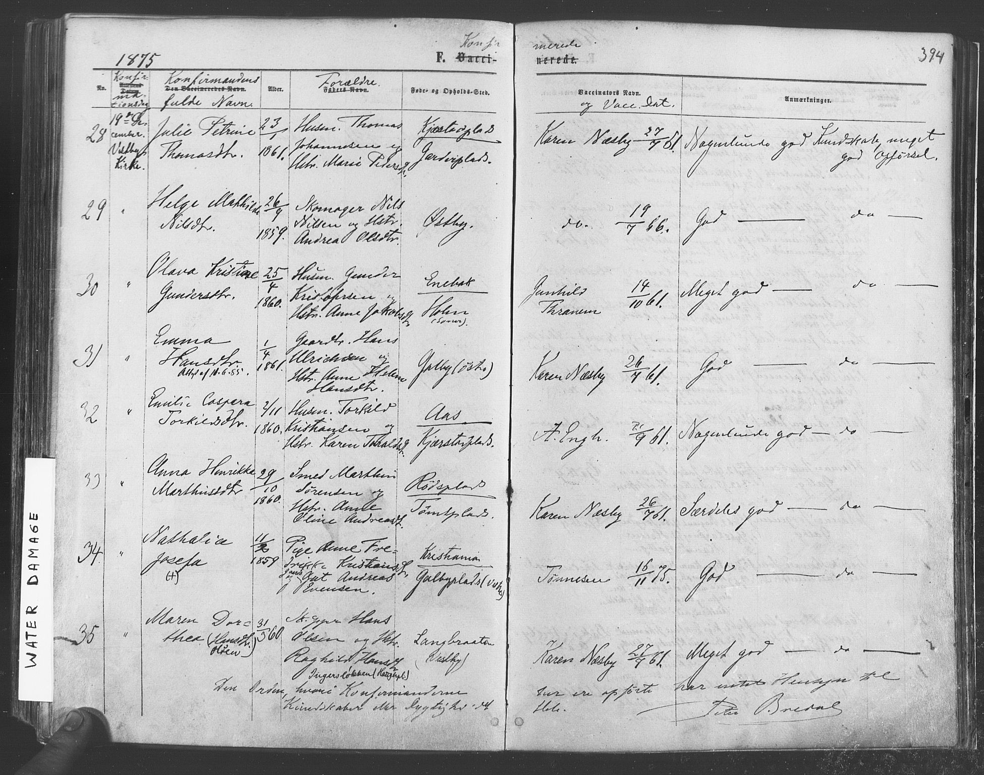 Vestby prestekontor Kirkebøker, AV/SAO-A-10893/F/Fa/L0008: Parish register (official) no. I 8, 1863-1877, p. 294