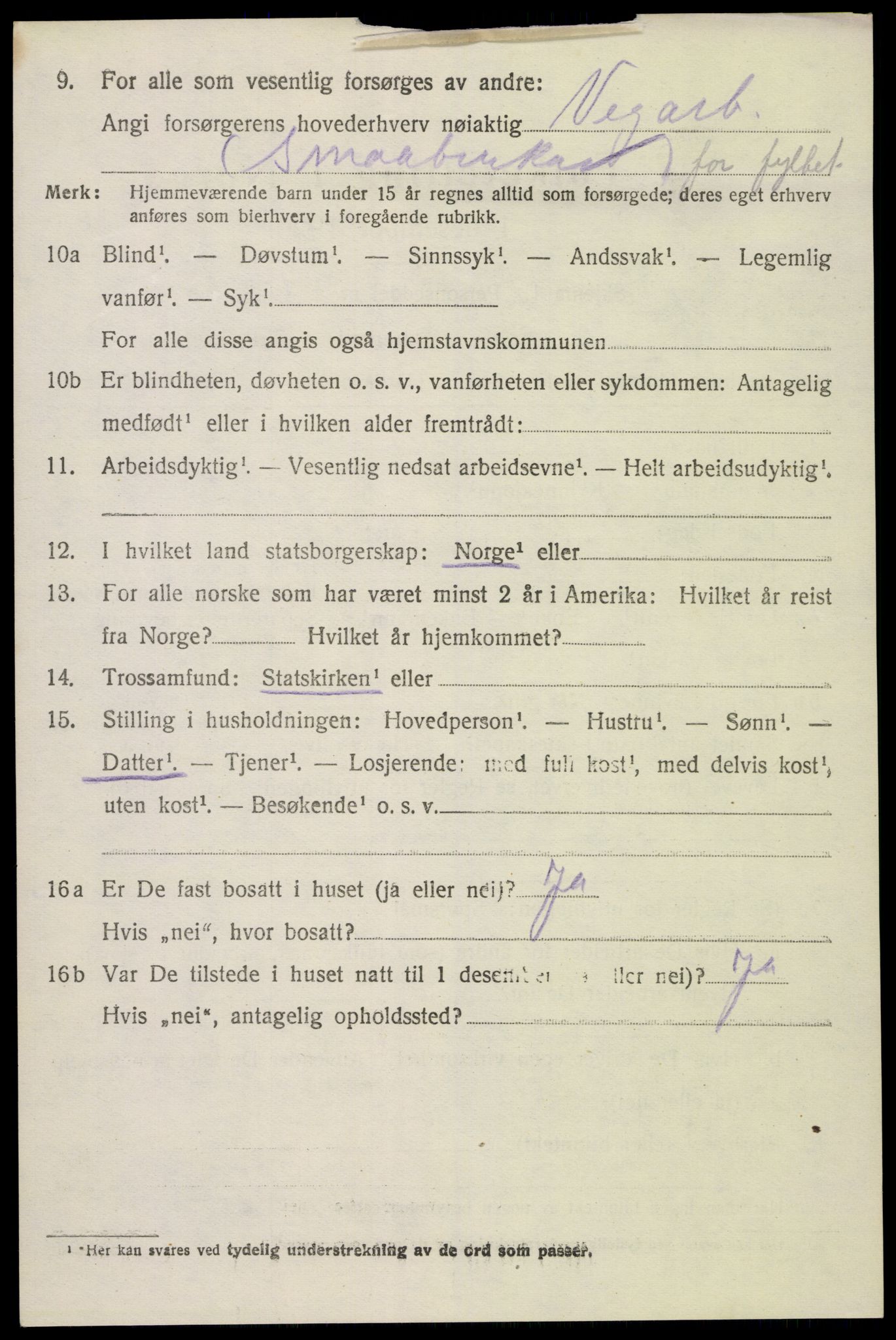 SAK, 1920 census for Hornnes, 1920, p. 1034