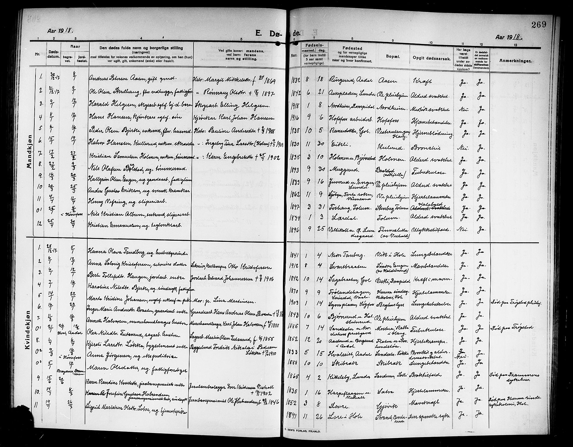 Norderhov kirkebøker, SAKO/A-237/G/Ga/L0009: Parish register (copy) no. I 9, 1913-1920, p. 269