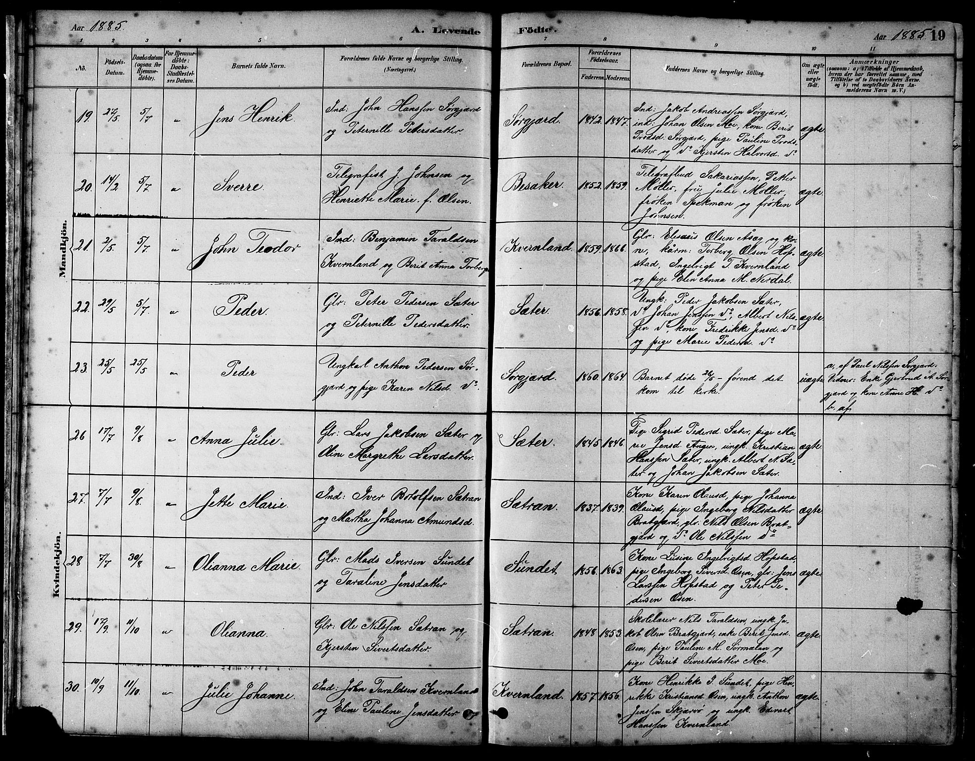 Ministerialprotokoller, klokkerbøker og fødselsregistre - Sør-Trøndelag, AV/SAT-A-1456/658/L0726: Parish register (copy) no. 658C02, 1883-1908, p. 19