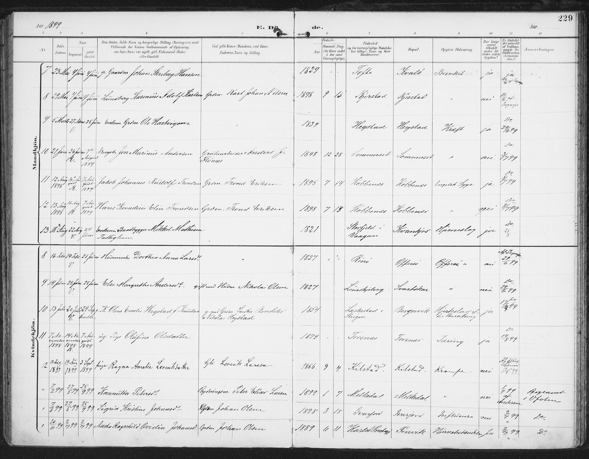 Ministerialprotokoller, klokkerbøker og fødselsregistre - Nordland, AV/SAT-A-1459/872/L1036: Parish register (official) no. 872A11, 1897-1913, p. 229