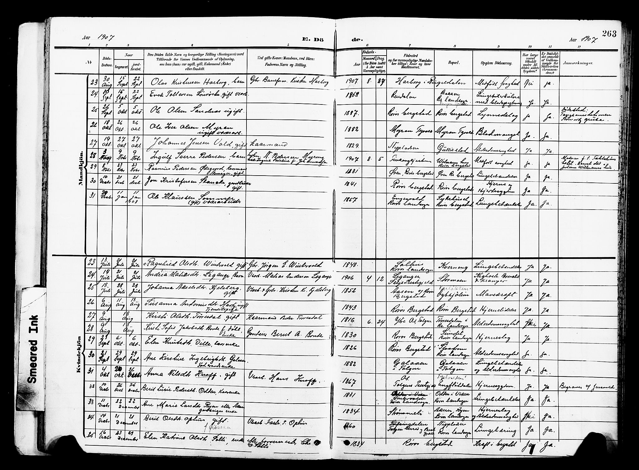 Ministerialprotokoller, klokkerbøker og fødselsregistre - Sør-Trøndelag, SAT/A-1456/681/L0942: Parish register (copy) no. 681C06, 1906-1925, p. 263