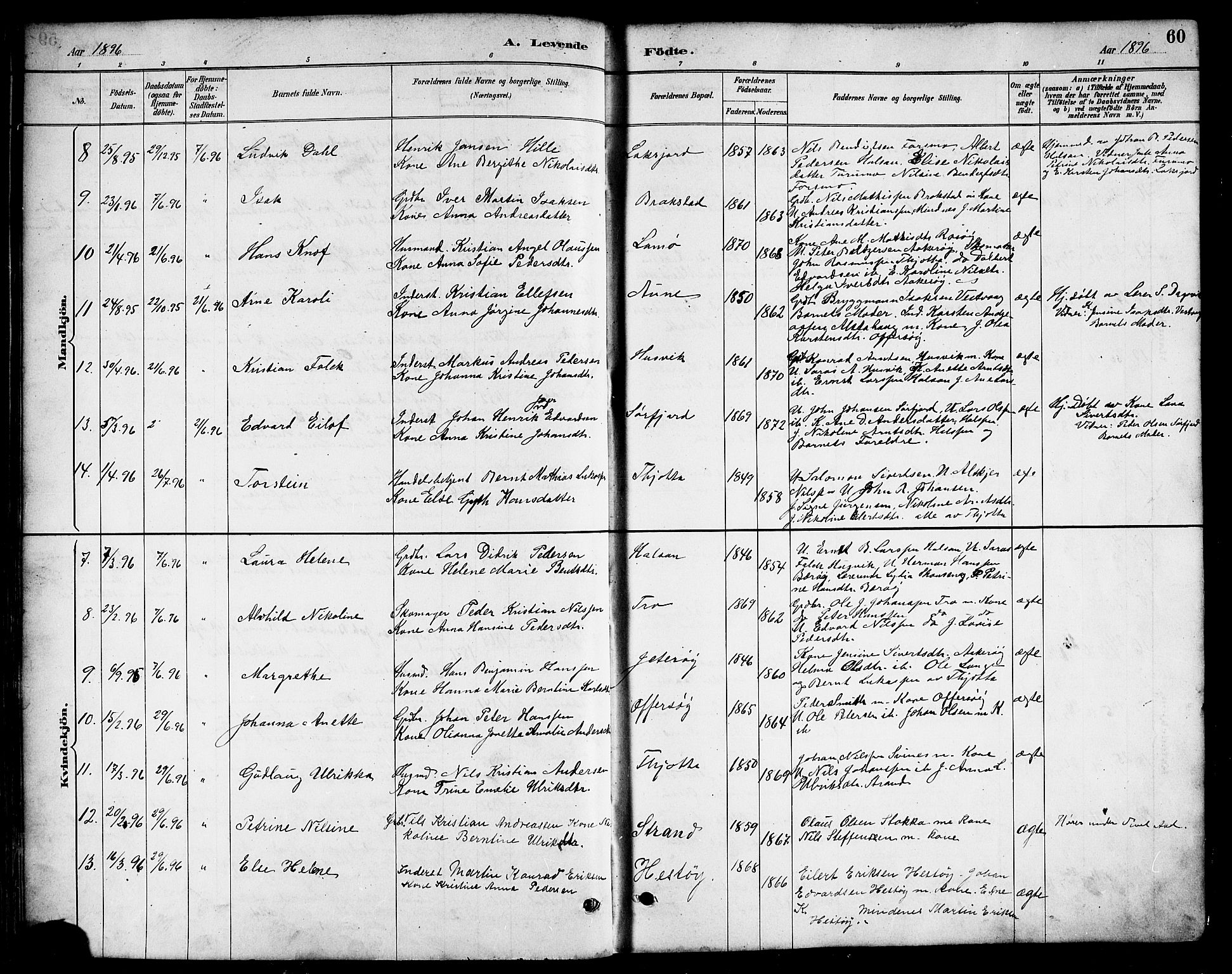 Ministerialprotokoller, klokkerbøker og fødselsregistre - Nordland, AV/SAT-A-1459/817/L0268: Parish register (copy) no. 817C03, 1884-1920, p. 60