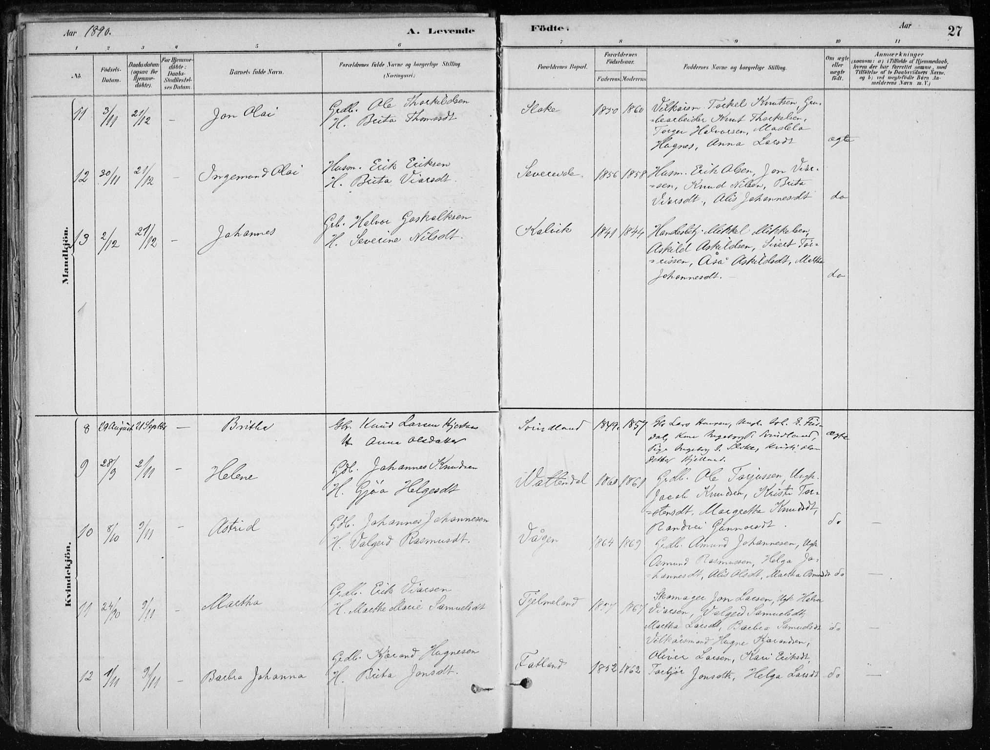 Skånevik sokneprestembete, AV/SAB-A-77801/H/Haa: Parish register (official) no. E  1, 1879-1901, p. 27