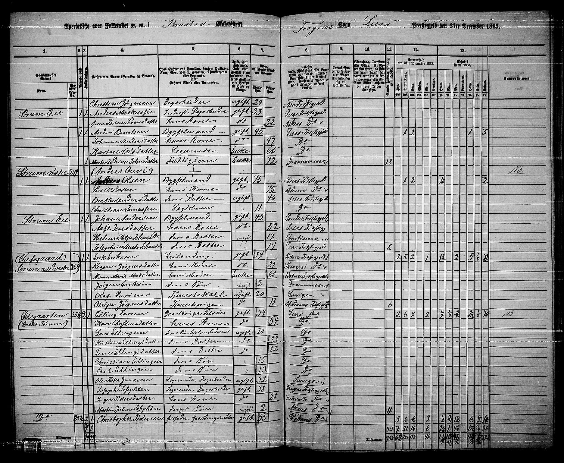 RA, 1865 census for Lier, 1865, p. 141