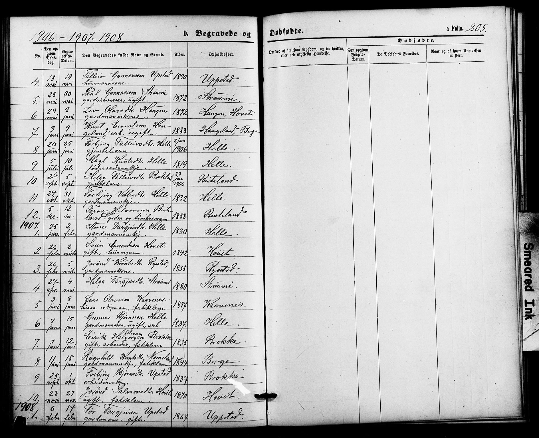 Valle sokneprestkontor, SAK/1111-0044/F/Fb/Fbb/L0002: Parish register (copy) no. B 2, 1875-1921, p. 205