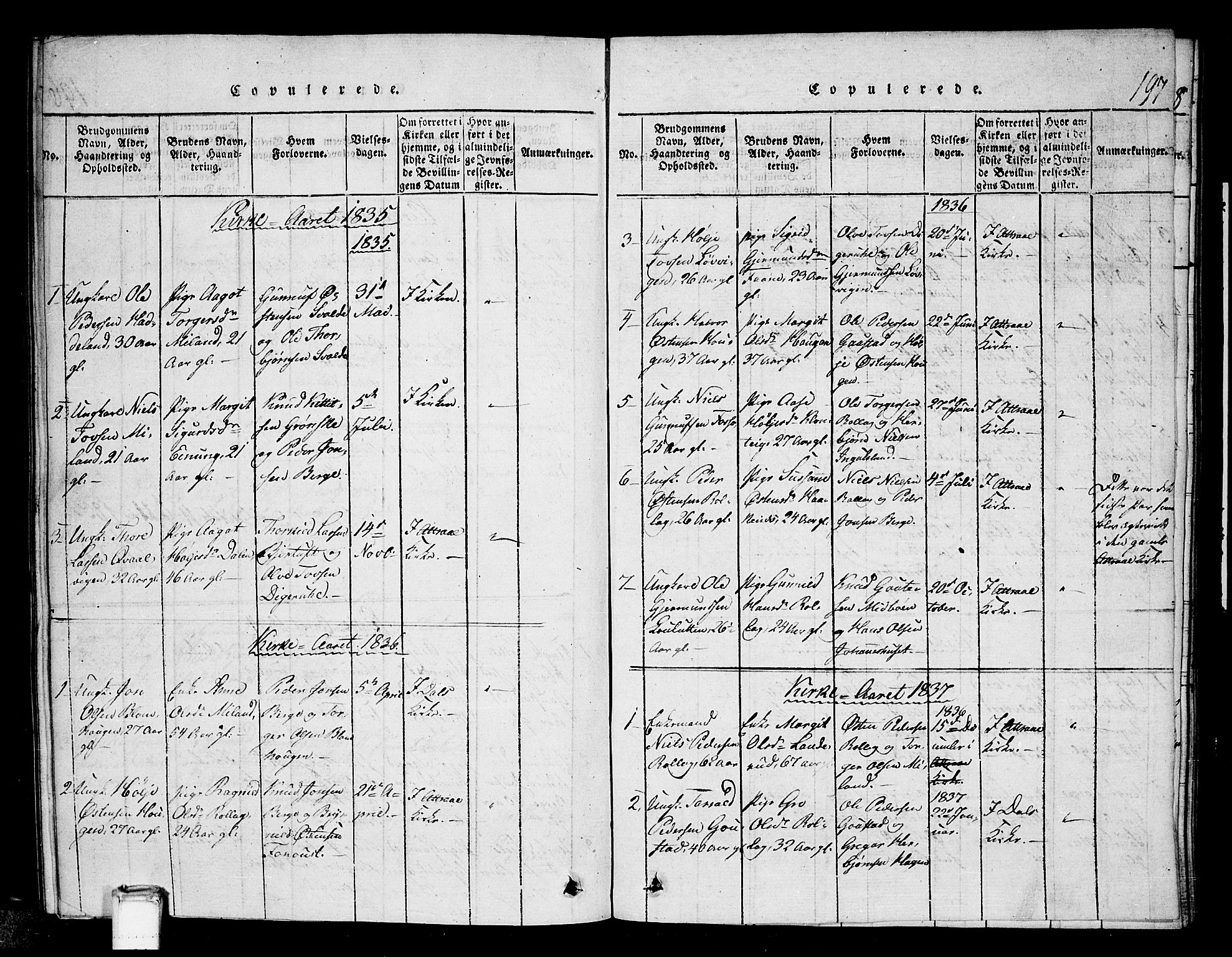 Tinn kirkebøker, SAKO/A-308/G/Gb/L0001: Parish register (copy) no. II 1 /1, 1815-1850, p. 197