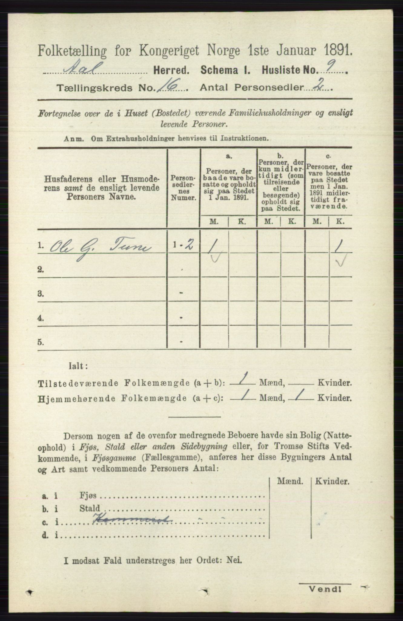 RA, 1891 census for 0619 Ål, 1891, p. 4003