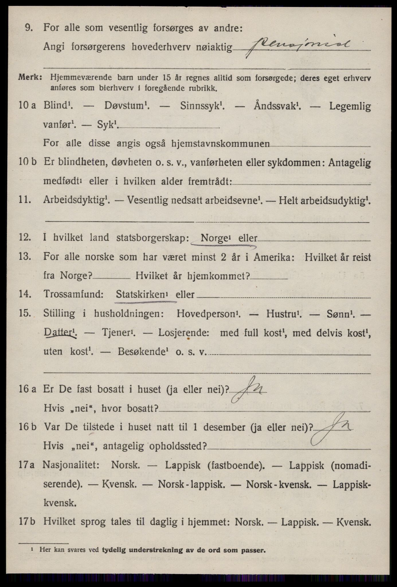 SAT, 1920 census for Støren, 1920, p. 1423