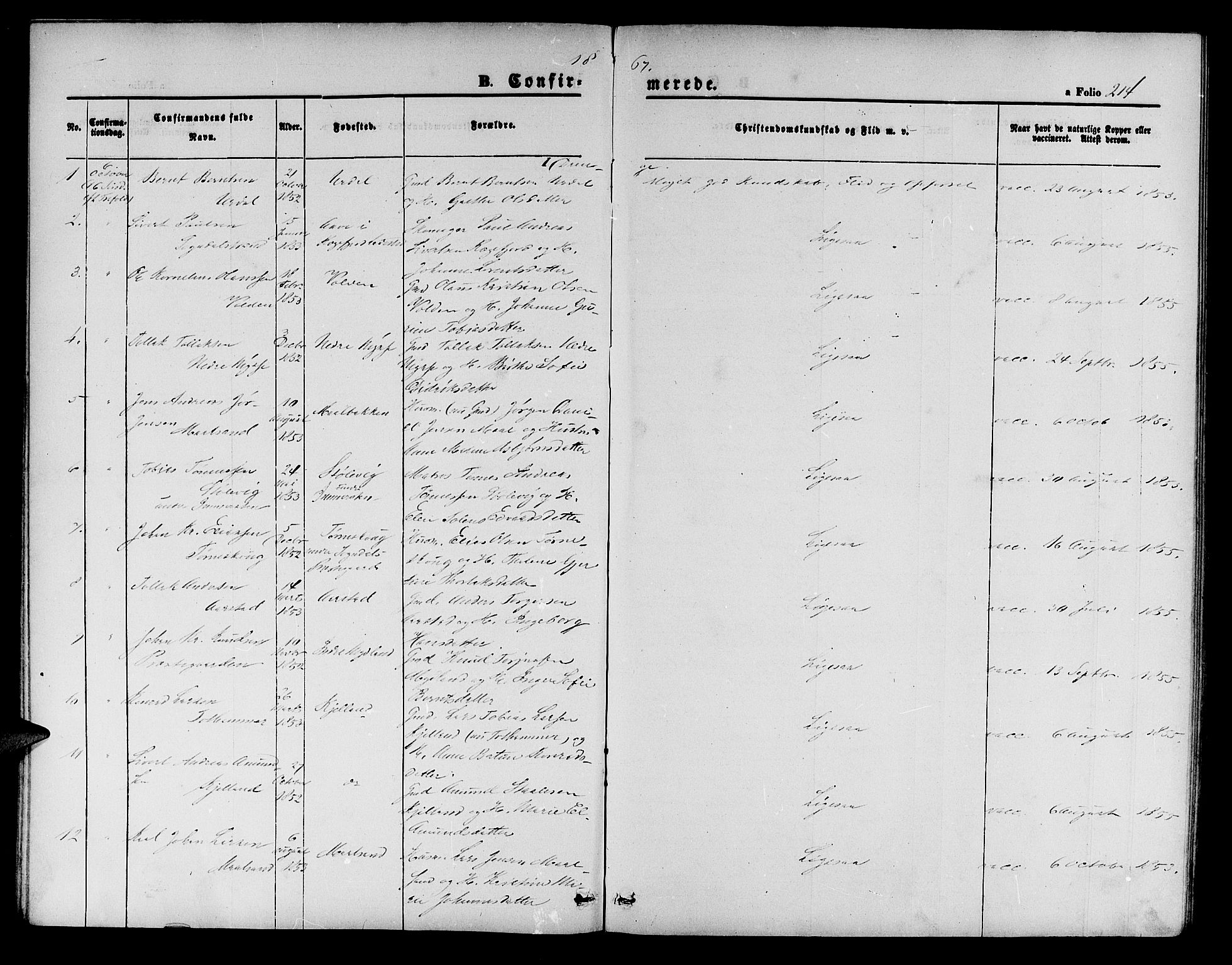 Sokndal sokneprestkontor, AV/SAST-A-101808: Parish register (copy) no. B 3, 1865-1879, p. 214