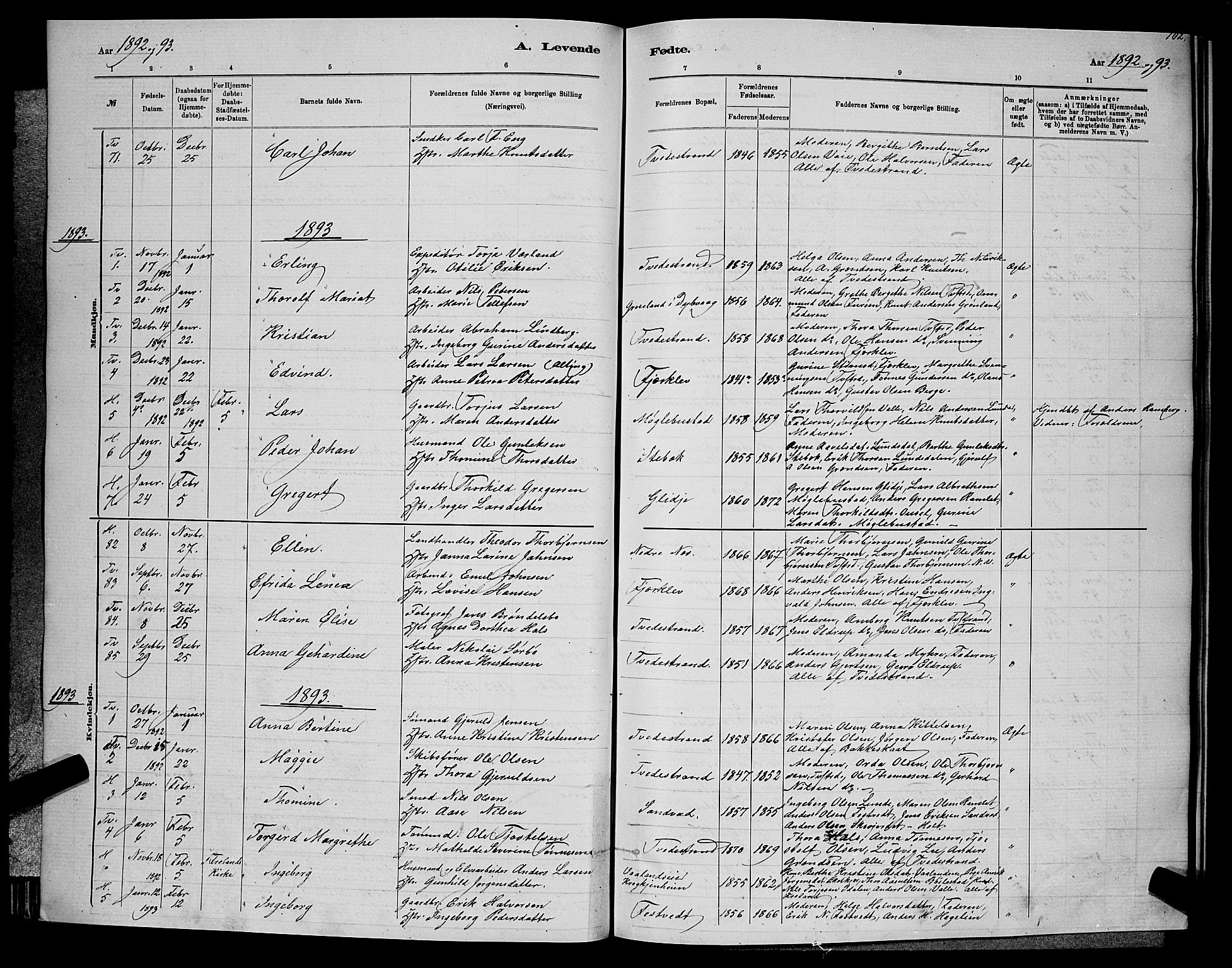 Holt sokneprestkontor, AV/SAK-1111-0021/F/Fb/L0010: Parish register (copy) no. B 10, 1883-1896, p. 102