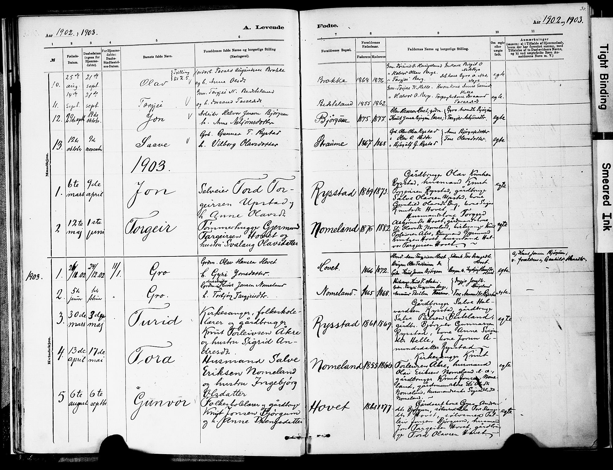 Valle sokneprestkontor, SAK/1111-0044/F/Fa/Fab/L0001: Parish register (official) no. A 1, 1882-1910, p. 35