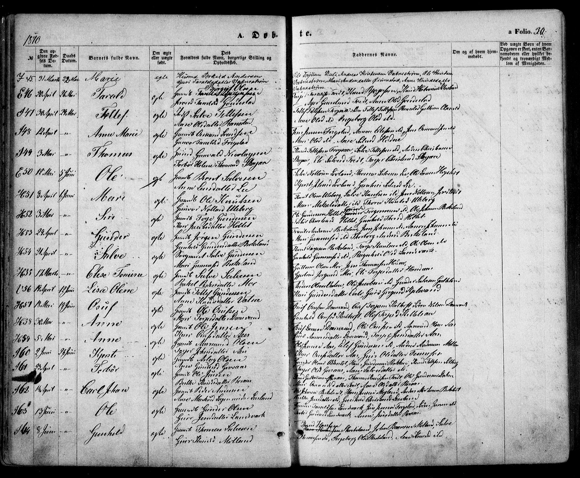 Evje sokneprestkontor, AV/SAK-1111-0008/F/Fa/Faa/L0006: Parish register (official) no. A 6, 1866-1884, p. 30