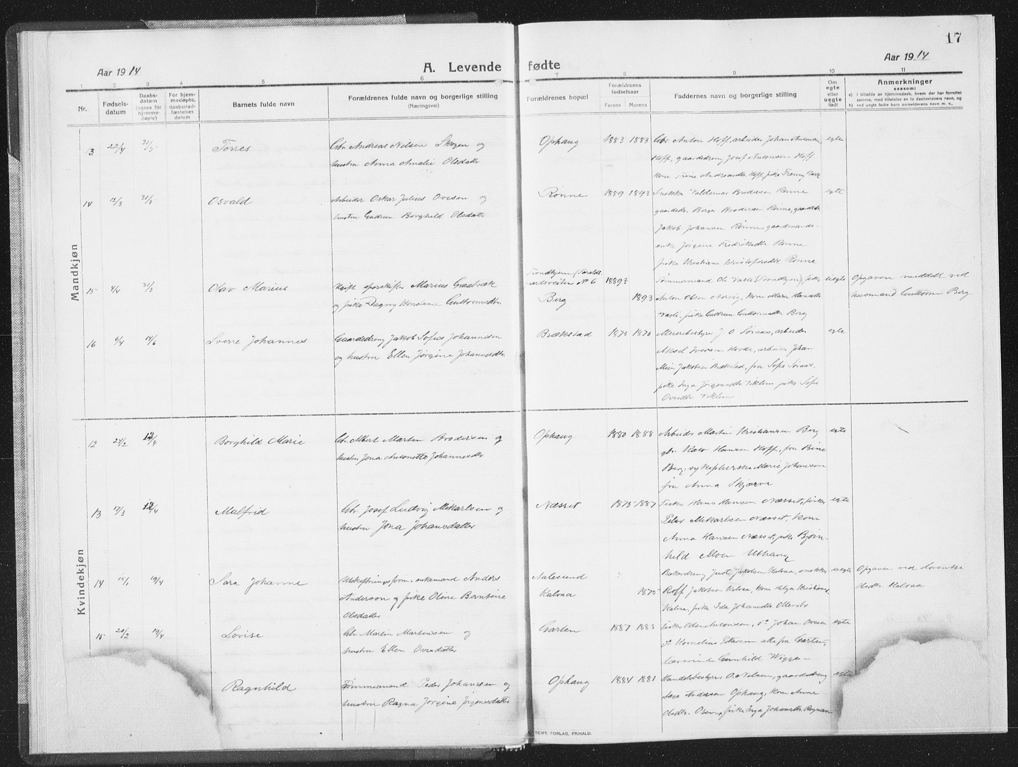 Ministerialprotokoller, klokkerbøker og fødselsregistre - Sør-Trøndelag, SAT/A-1456/659/L0747: Parish register (copy) no. 659C04, 1913-1938, p. 17
