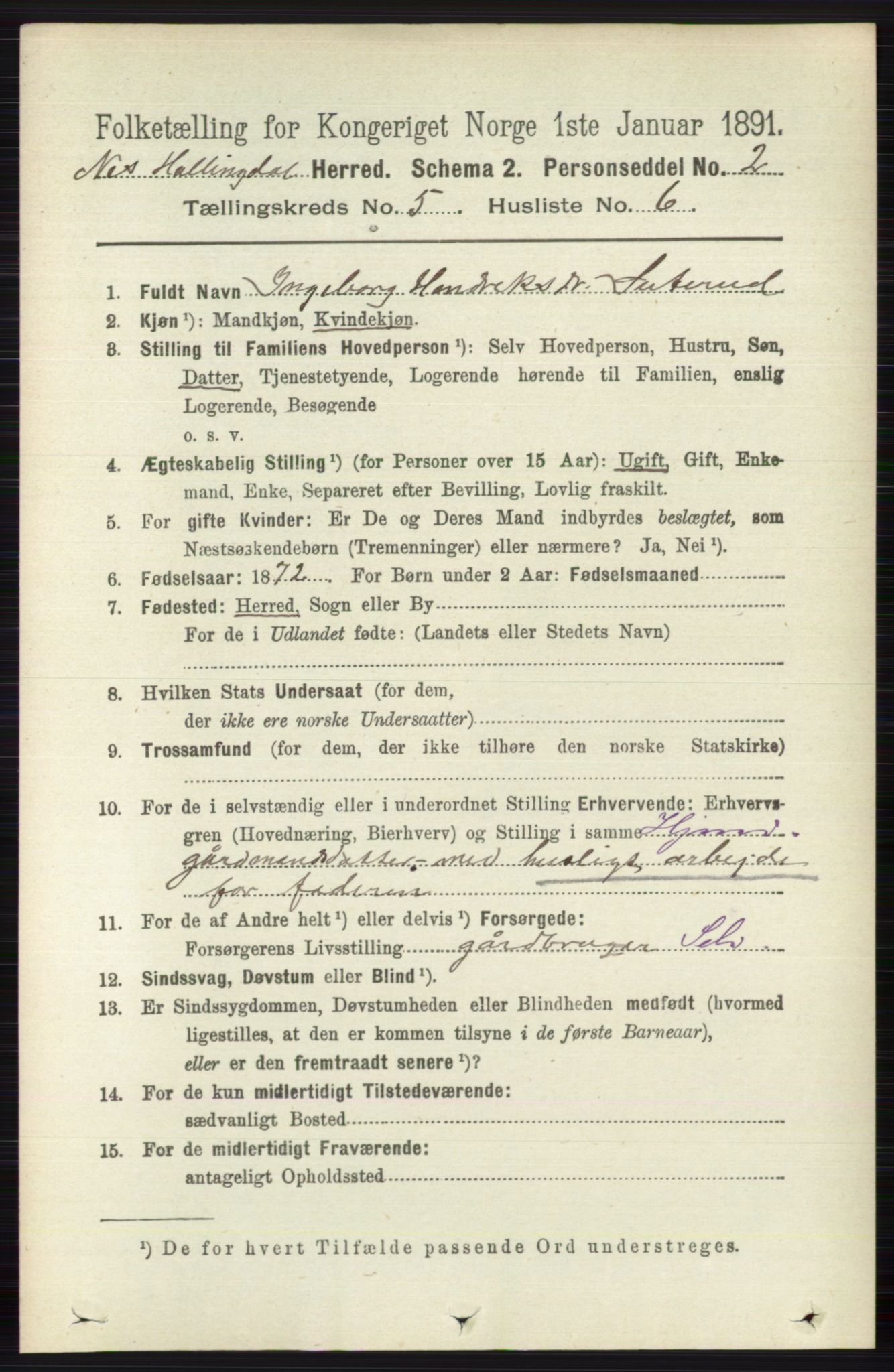 RA, 1891 census for 0616 Nes, 1891, p. 2659