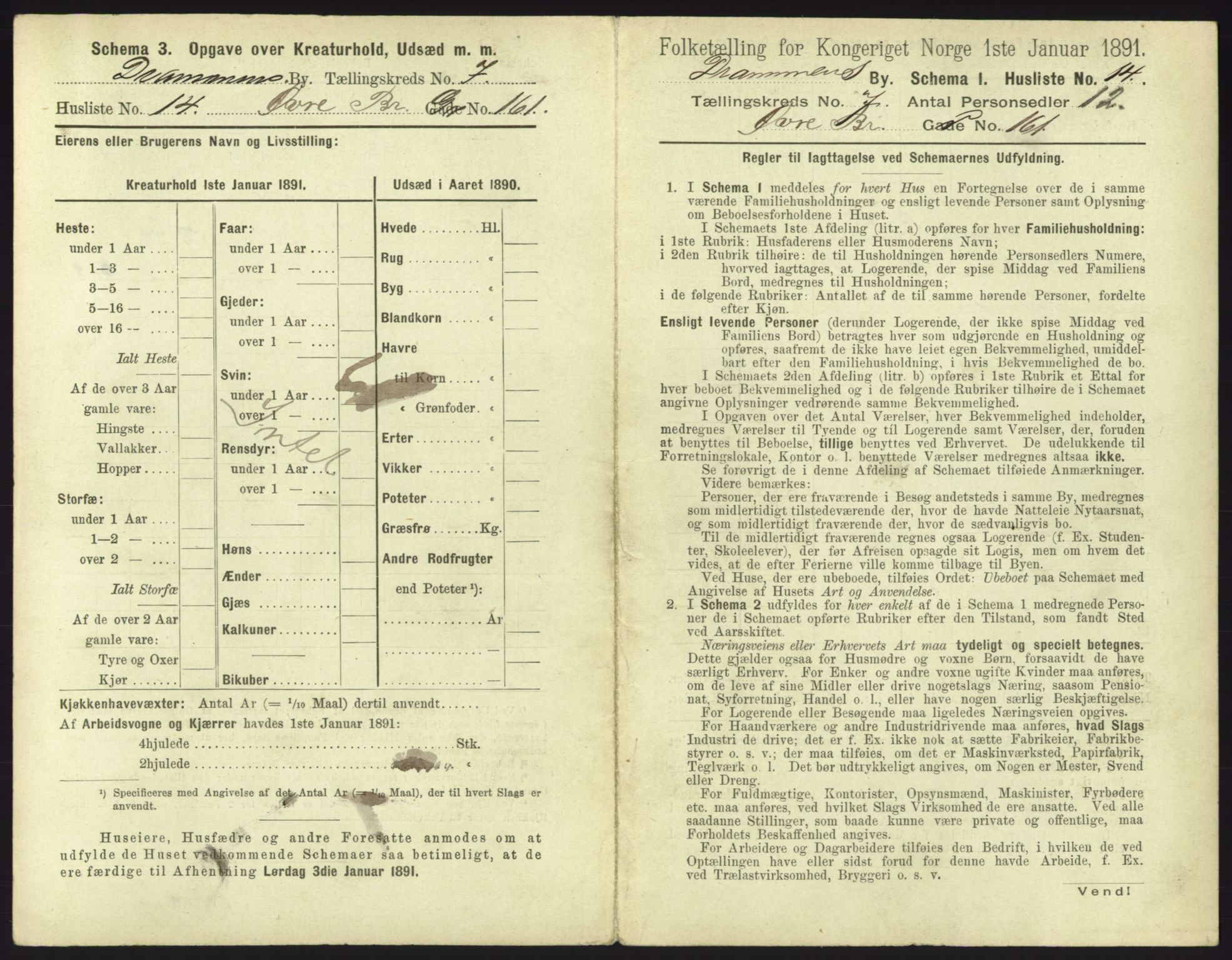 RA, 1891 census for 0602 Drammen, 1891, p. 605