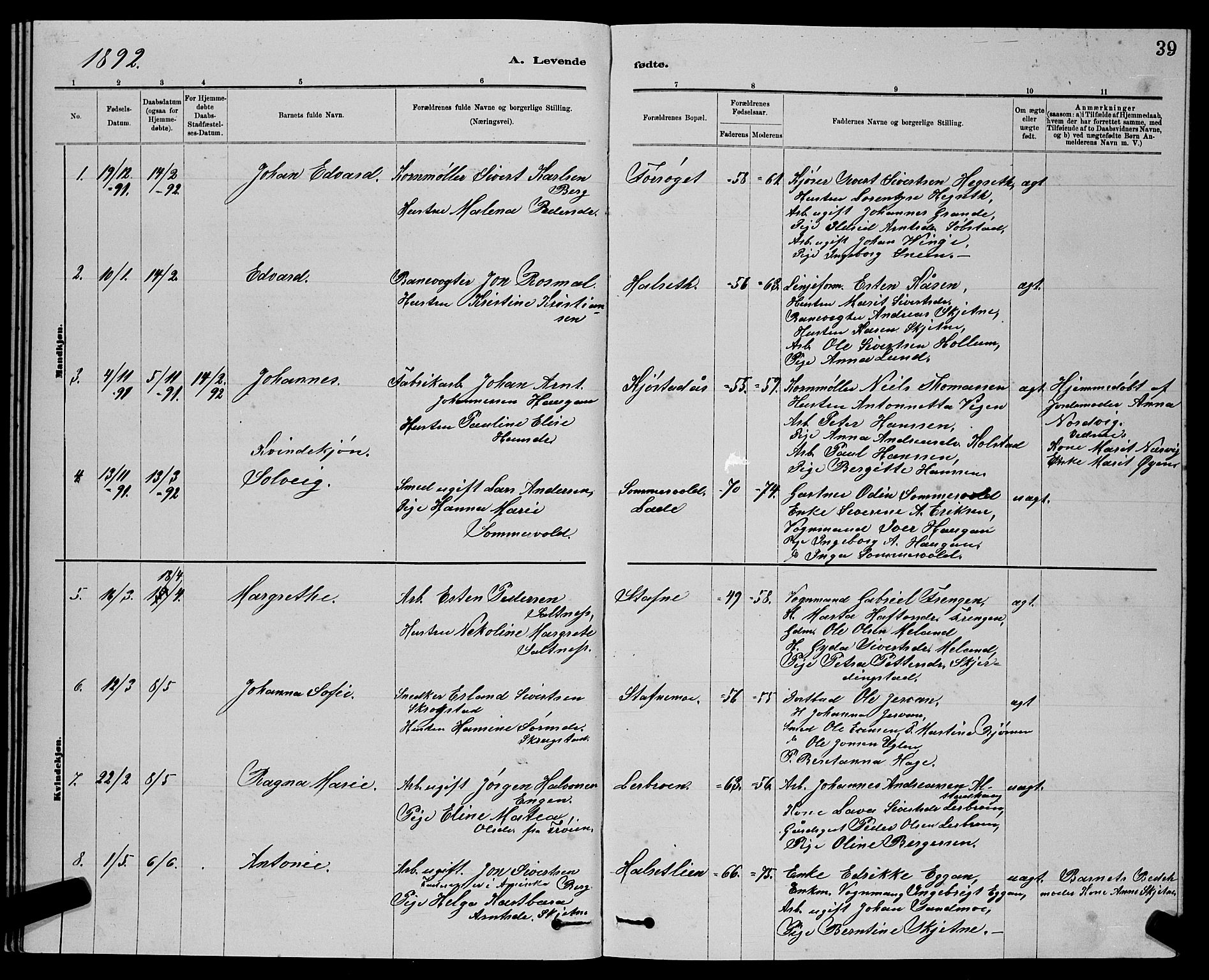 Ministerialprotokoller, klokkerbøker og fødselsregistre - Sør-Trøndelag, SAT/A-1456/611/L0354: Parish register (copy) no. 611C02, 1881-1896, p. 39