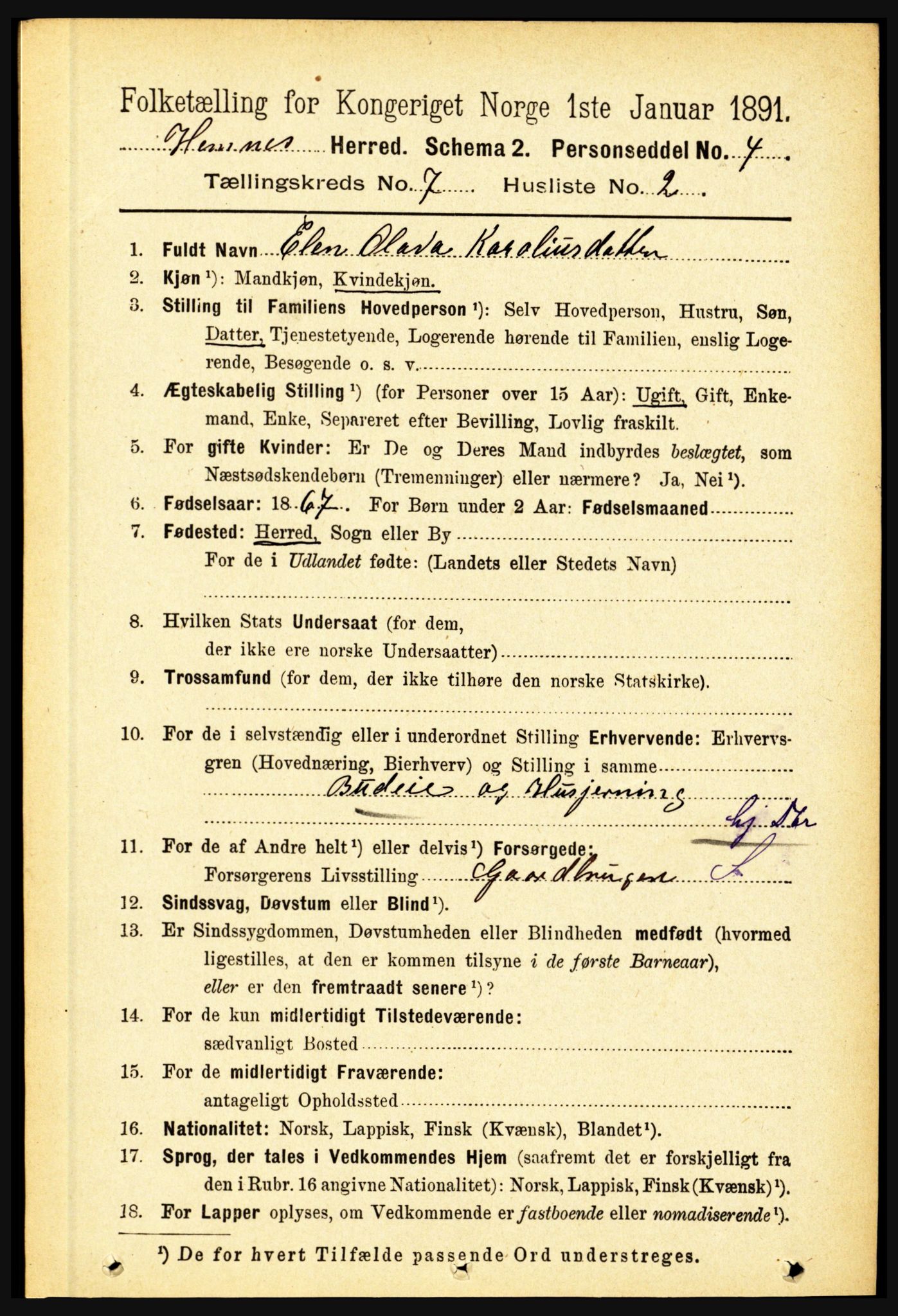 RA, 1891 census for 1832 Hemnes, 1891, p. 3259