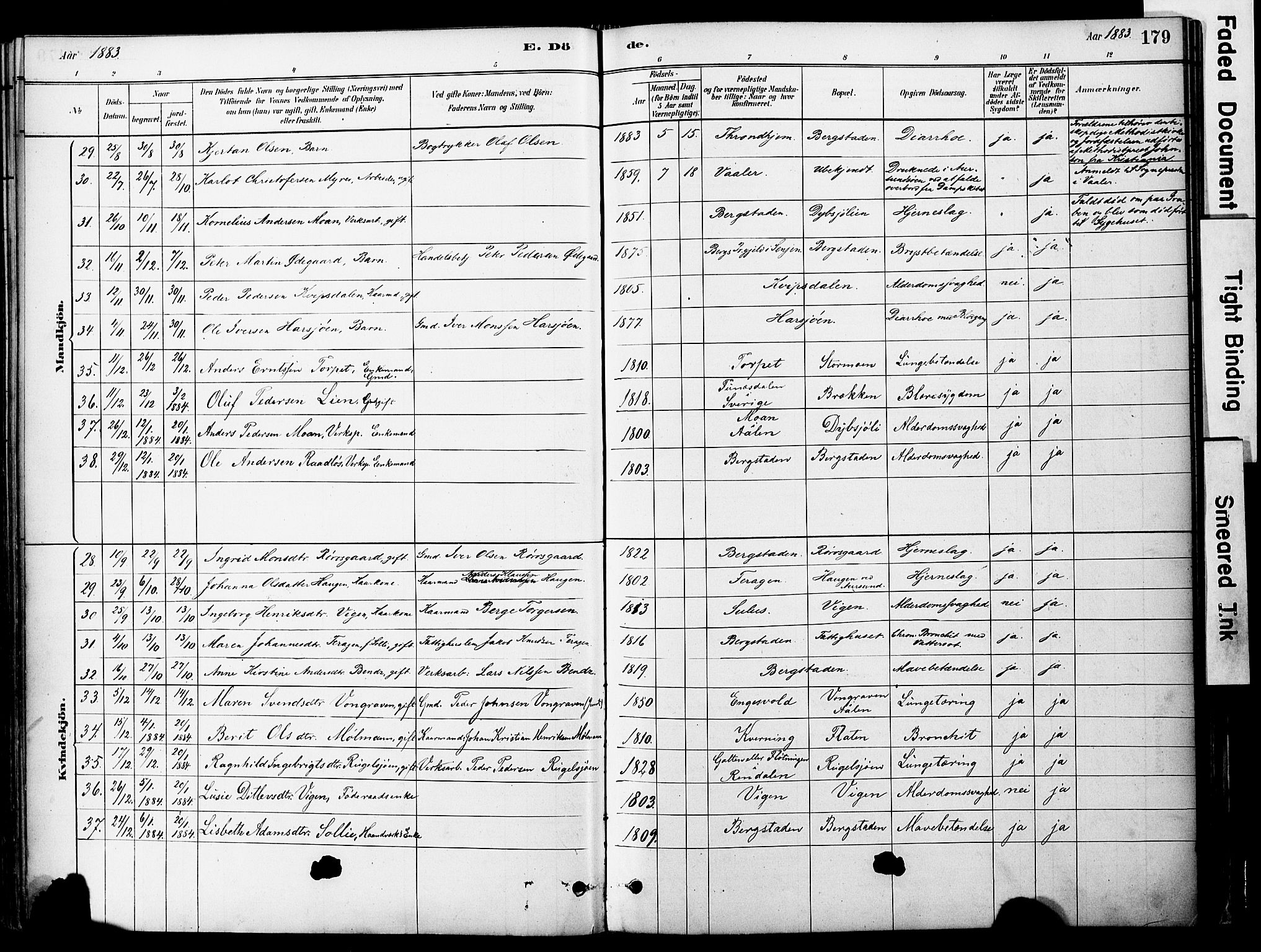 Ministerialprotokoller, klokkerbøker og fødselsregistre - Sør-Trøndelag, SAT/A-1456/681/L0933: Parish register (official) no. 681A11, 1879-1890, p. 179