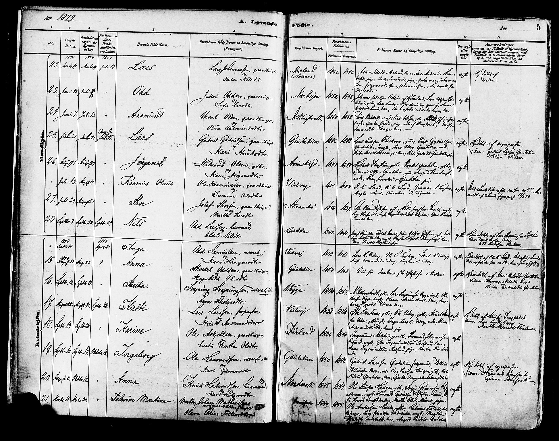 Suldal sokneprestkontor, SAST/A-101845/01/IV/L0011: Parish register (official) no. A 11, 1878-1900, p. 5