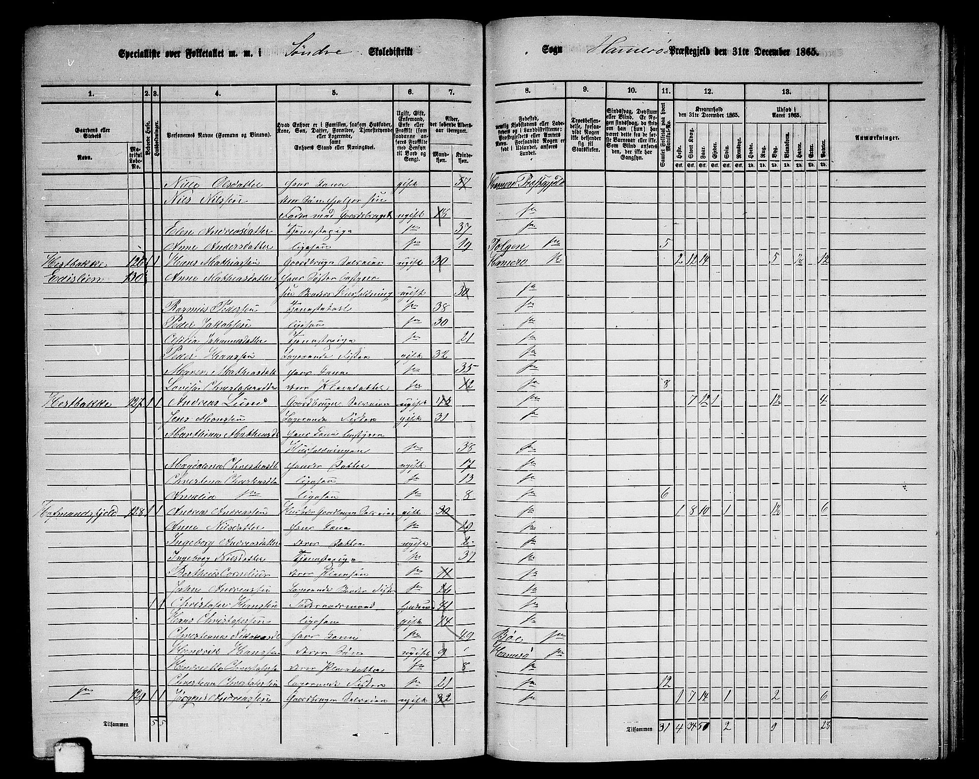 RA, 1865 census for Hamarøy, 1865, p. 62