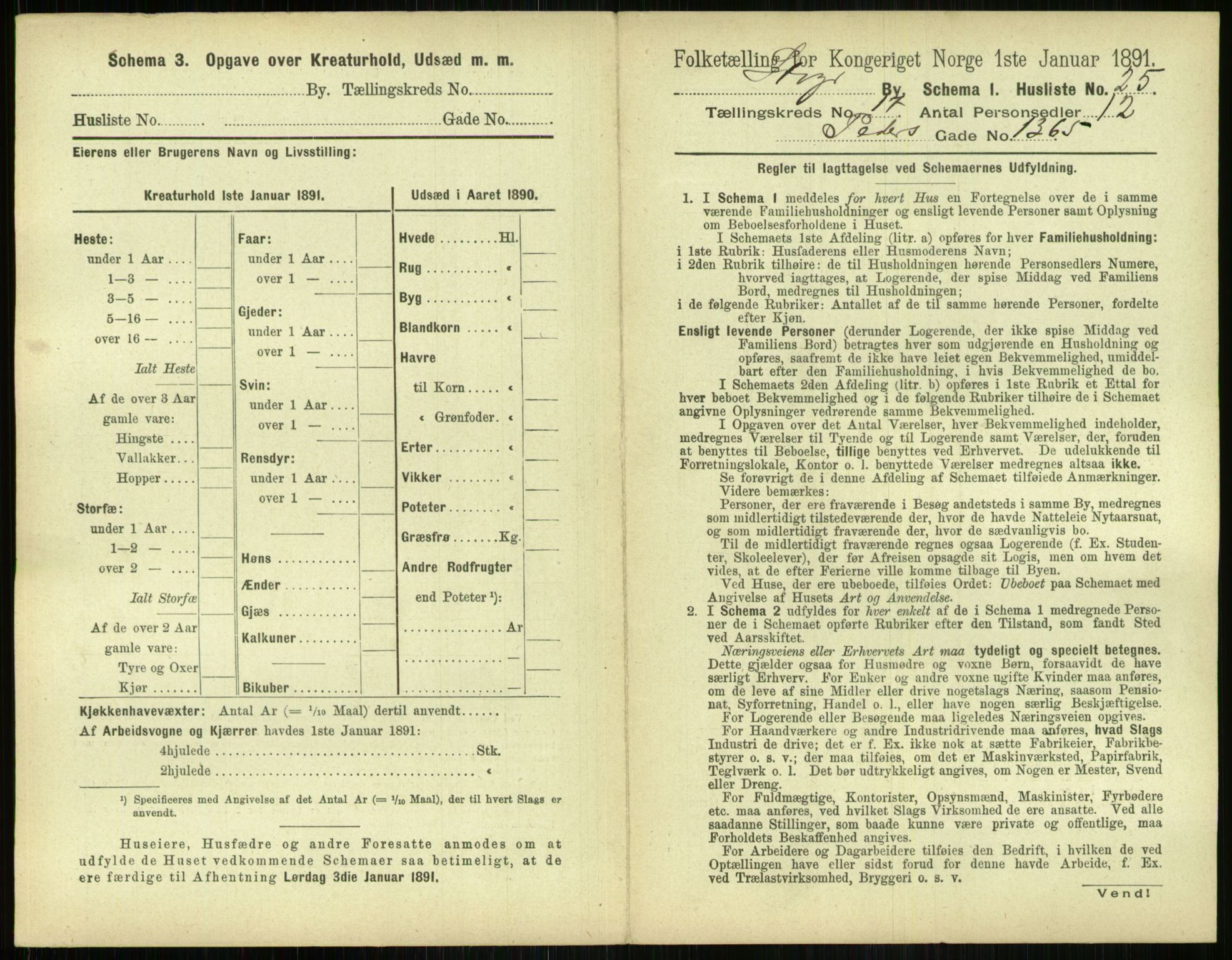 RA, 1891 census for 1103 Stavanger, 1891, p. 3233