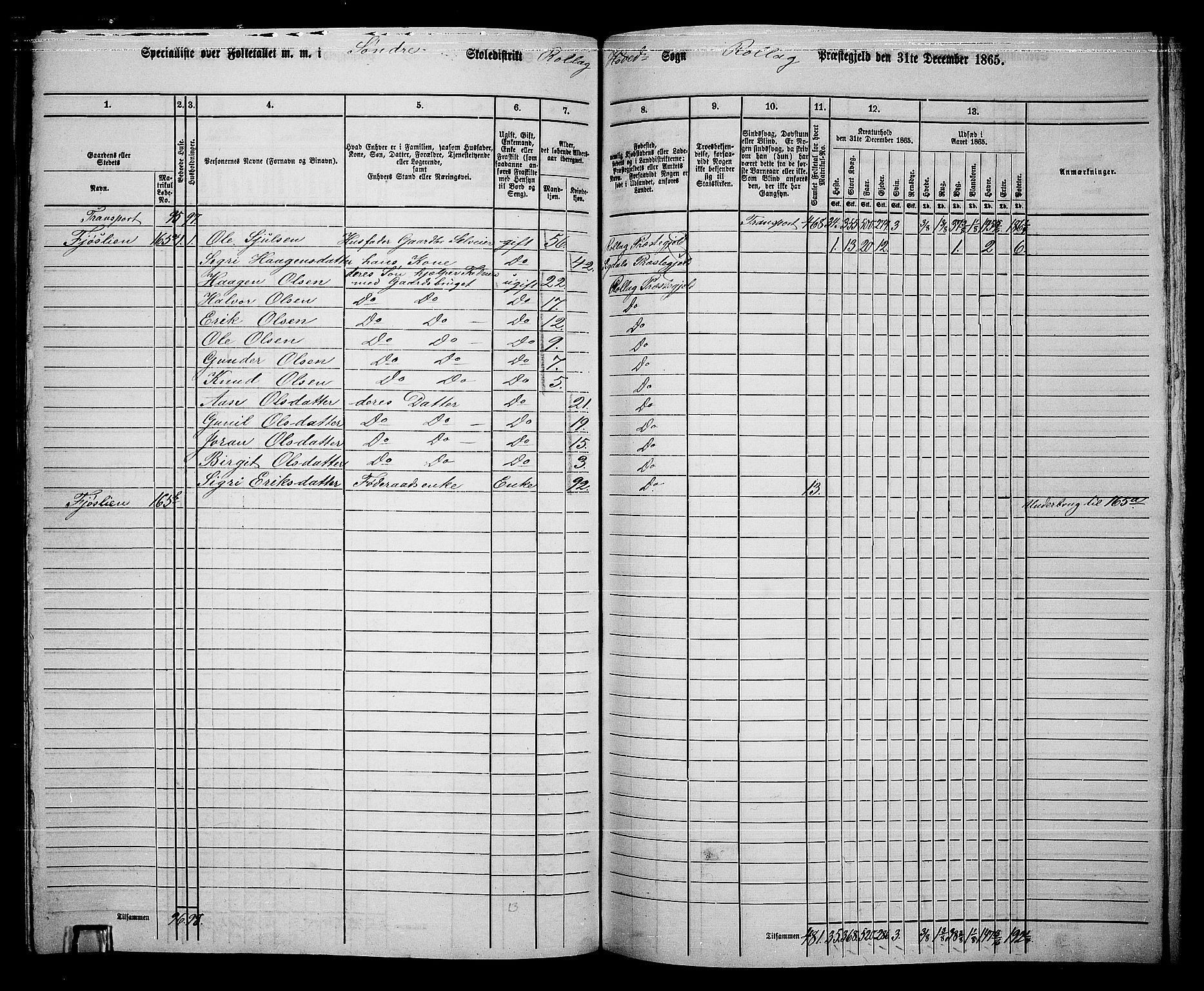 RA, 1865 census for Rollag, 1865, p. 24