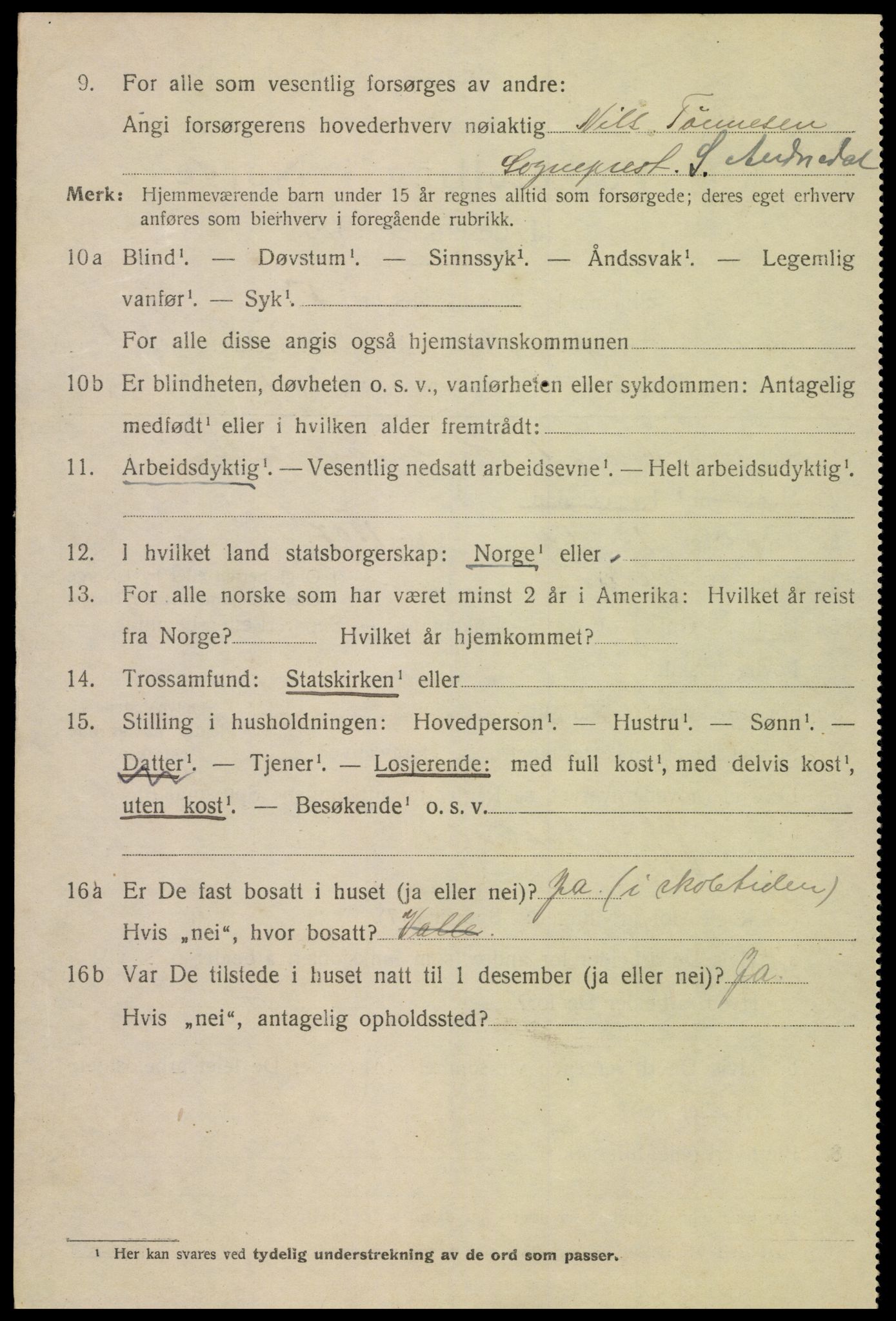 SAK, 1920 census for Mandal, 1920, p. 4124