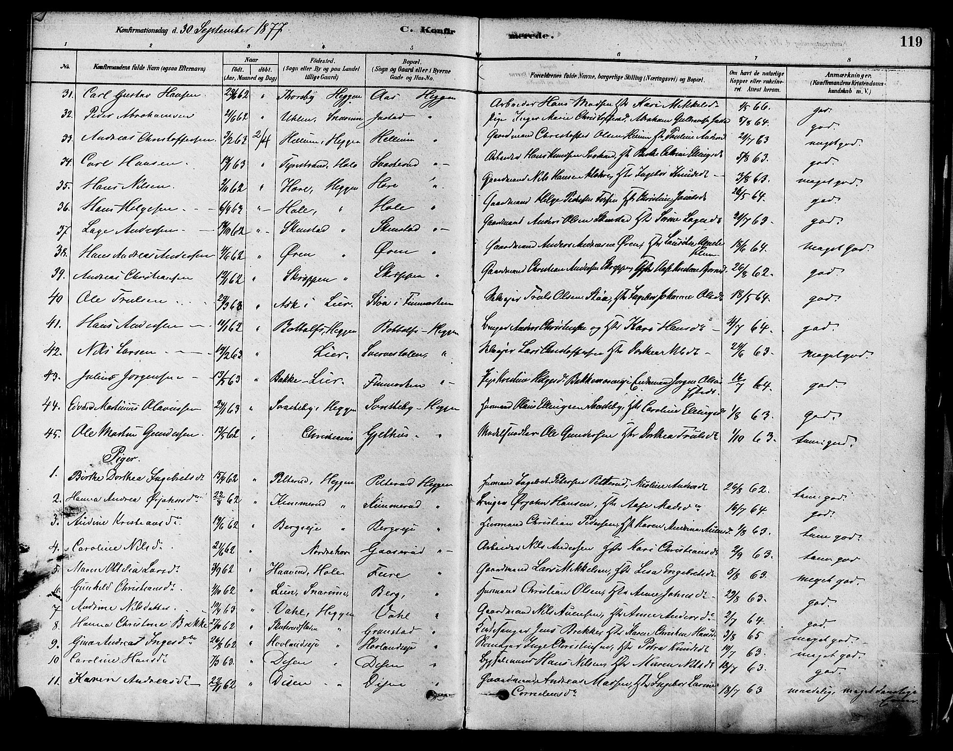 Modum kirkebøker, SAKO/A-234/F/Fa/L0011: Parish register (official) no. 11, 1877-1889, p. 119